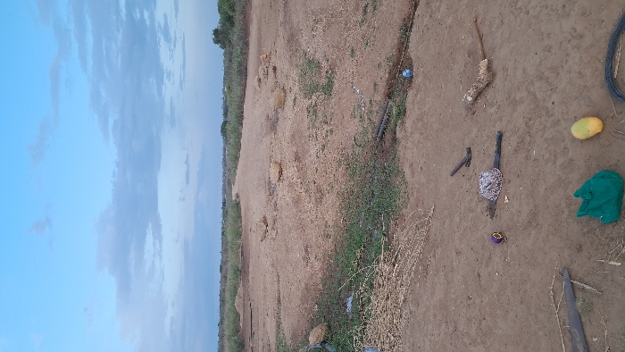 The image depicts an unpaved, open dirt area in Walu, Kenya, under a lightly clouded blue sky. The ground is primarily light brown soil with scattered small rocks and patches of sparse green and dry vegetation. A dirt track or path extends from the mid-ground towards the horizon, bordered by taller green shrubs and trees in the distance.
In the immediate foreground, a discarded green plastic bag is visible, along with a yellow mango and a coiled black wire or hose. To the left, a segment of a black tire or rubber tubing is present. A cluster of dry, light-colored plant stalks lies on the ground to the mid-left. Centrally, a purple and yellow coiled object, possibly a measuring tape, is situated near a dark object partially embedded in the dirt. To its right, a grey and white patterned, rounded object is accompanied by a dark, handle-like item. Further right, a weathered object, possibly a broom or tool handle with fibrous material, rests on the ground.
In the mid-ground, a small trench contains two dark pipes and a small blue plastic bottle. Several larger, light brown rocks are scattered along the dirt path. No individuals are present in the scene, and no specific actions or interactions are depicted.