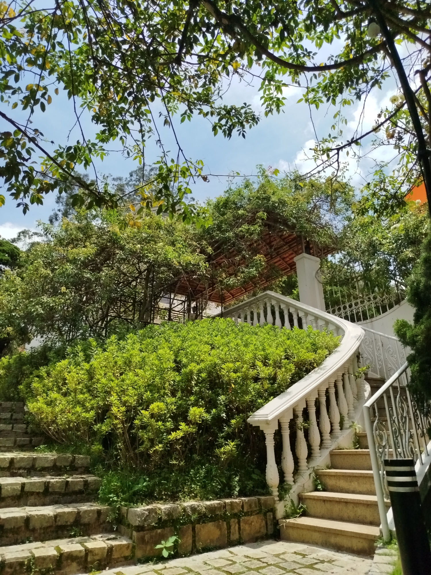 The image depicts a scenic view in Da Lat, Vietnam, featuring a stone staircase ascending alongside a lush green hedge. A white ornate balustrade curves gracefully along the stairs, leading towards a covered structure in the background. Trees with abundant foliage create a canopy overhead, with sunlight filtering through to illuminate the scene. The sky is visible through the leaves, with scattered white clouds against a blue backdrop. The overall atmosphere suggests a peaceful, well-maintained outdoor space, possibly a garden or a park. There are no people or animals visible in the image.