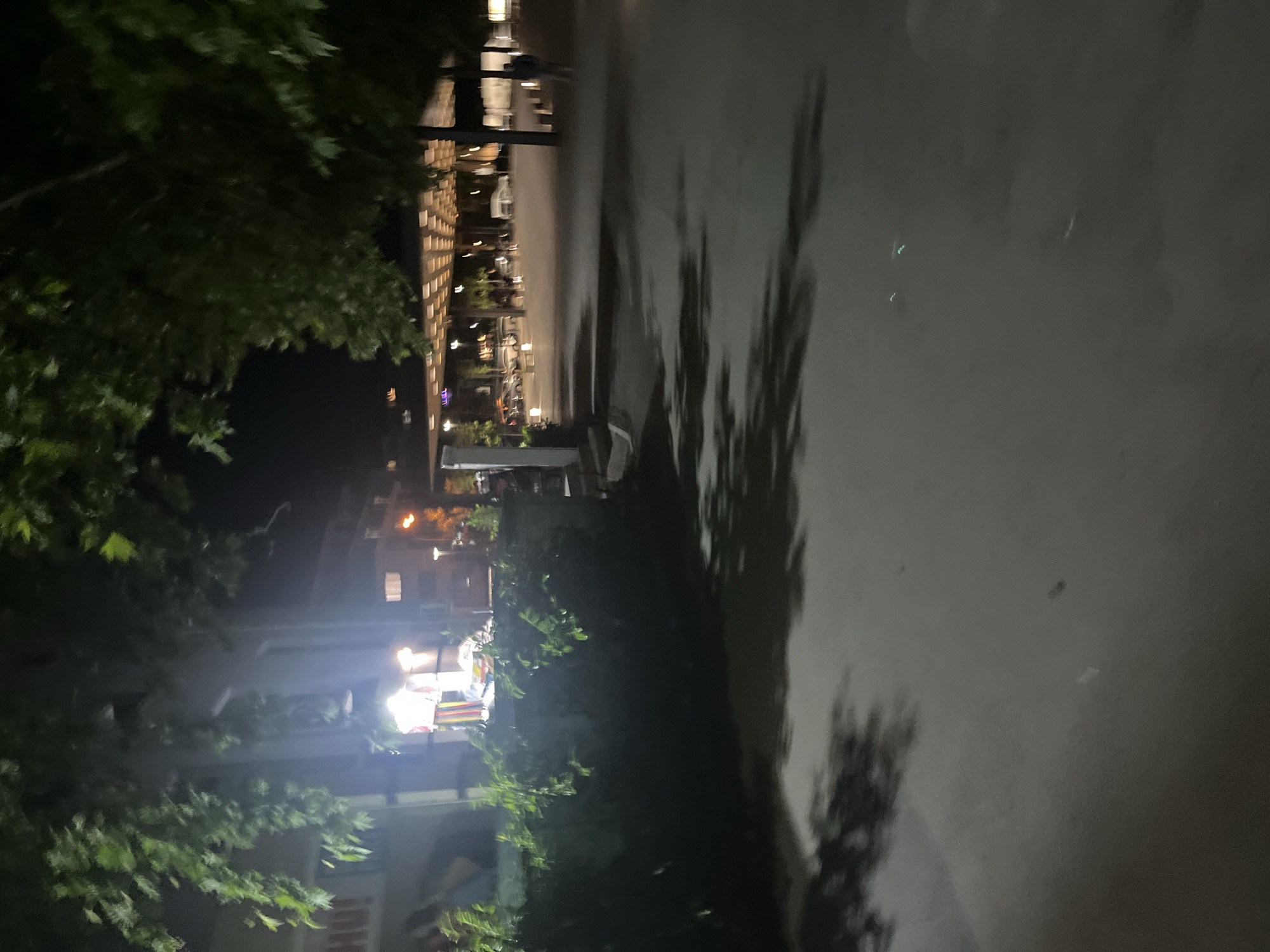 The image captures a nighttime scene along a paved street or pathway, likely in an urban or semi-urban environment. The perspective is looking down the path, which appears to be wet or highly reflective, possibly from recent rain.
On both the left and right sides of the path, lush green trees and bushes are visible, their foliage creating dark masses against the night sky and being partially illuminated by artificial light sources. Elongated, dark shadows of these trees are cast across the right side of the reflective pathway.
In the background, on the left side, a building with a distinctive facade is present, featuring a grid-like pattern that appears to be made of light-colored blocks or illuminated panels. Further down the path, towards the center and right, other buildings are visible with brightly lit windows and storefronts, indicating commercial establishments or residences. The bright white light emanating from these buildings creates a strong contrast with the darkness of the night.
Numerous artificial light sources are scattered throughout the scene, appearing as bright points or blurred glows (bokeh), suggesting streetlights, building lights, and possibly interior lighting. No people or specific activities are discernible in the image. The time of day is clearly night. The overall atmosphere is quiet and still, typical of a city street after dark. Minimal, unreadable text, possibly part of a sign, is faintly visible near the bottom left edge of the original image, appearing as "HU!" or "HO!". The scene's location is in Blagoevgrad, Bulgaria.