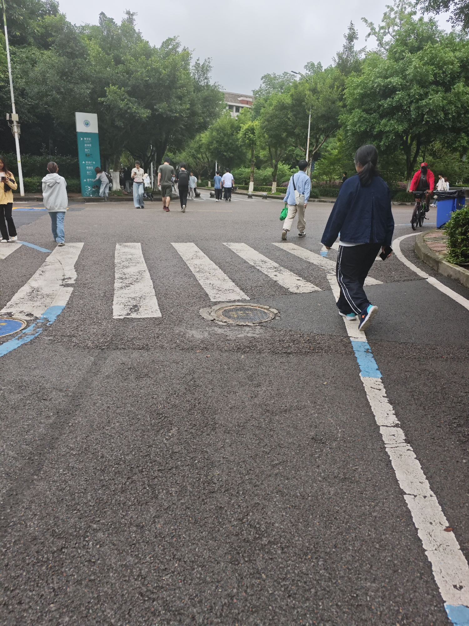 The image depicts an outdoor scene with a pedestrian crossing in the foreground. Several individuals are crossing the street at the designated area. On the left side of the crossing, a person wearing a yellow shirt and black pants is visible. Next to them, a person in a light gray hoodie and blue jeans is walking. Further back on the left, a group of people are walking together, one of whom is carrying a green bag. On the right side of the crossing, a person in a dark blue jacket and black pants with white stripes is walking away from the camera. Behind them, a person in a red jacket is riding a bicycle. The environment is characterized by paved road surfaces, white stripes marking the pedestrian crossing, and blue markings on the road. Green trees line the background, and a building is partially visible in the distance. The sky is overcast.