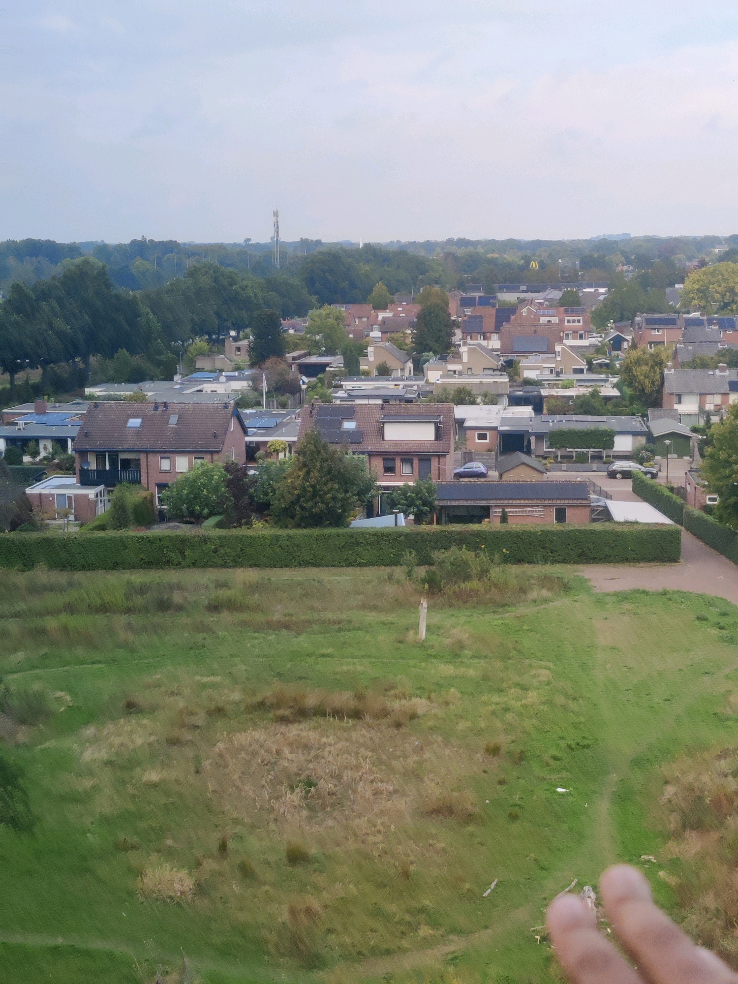 The image captures an aerial view of a residential area in Winterswijk, Netherlands, likely taken from a high vantage point. The foreground features a grassy field with some dry vegetation and a small wooden post. The middle ground consists of a meticulously maintained green hedge separating the field from a street lined with houses. The houses are of various architectural styles, predominantly brick with tiled roofs, and many are equipped with solar panels. A few cars are visible parked in driveways or on the street. In the background, a dense line of trees forms a natural boundary, beyond which a cityscape with taller structures, including a cell tower and a distant McDonald's sign, is visible. The sky is overcast with a pale, hazy light. A person's hand is partially visible in the bottom right corner of the frame, suggesting the photographer's presence.