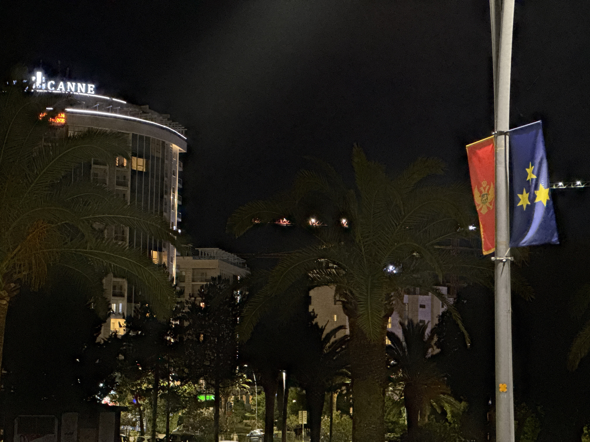 At night in Budva, Montenegro, the Hotel Avala Resort & Villas, with "AVALA CANNE" illuminated on its rounded roof, stands beyond palm trees. A tall, grey pole displays two flags: one red with a golden emblem and the other blue with golden stars. Other buildings are visible in the background.