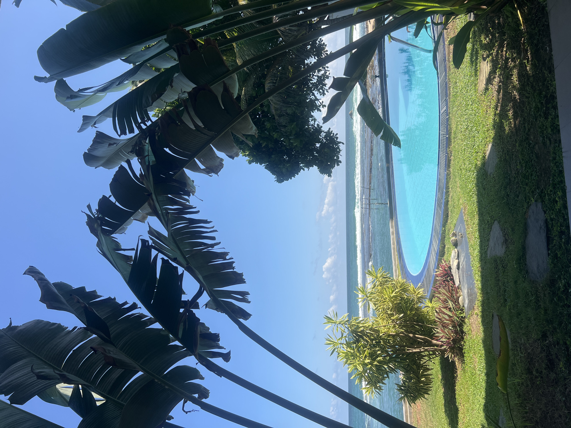 The image shows a view of the Indian Ocean from a poolside area in Goviyapana, Sri Lanka. Large, dark green banana leaves frame the foreground and the sky. In the middle ground, a bright blue swimming pool with a dark tiled edge is visible. Beyond the pool, a well-maintained green lawn with some ornamental plants leads to the ocean. The ocean water is turquoise, with gentle waves breaking along a rocky shoreline. A few wooden posts are visible in the shallow water. The sky is clear blue with a few scattered white clouds. The scene suggests a tropical resort or private residence in a coastal setting.