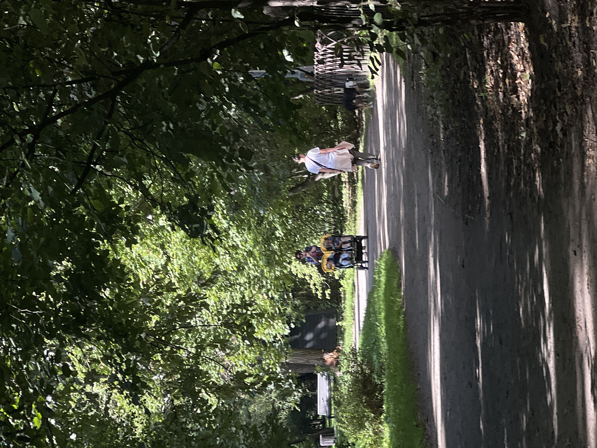 The image depicts a sun-dappled park scene, likely within the city of Moscow, Russia, given the overall ambiance and vegetation. A paved path winds through the park, bordered by lush green grass and mature trees whose leaves create a dappled shadow effect on the ground.
In the mid-ground, a person is walking a dog. The person is wearing a white t-shirt and light-colored pants, with a bag slung over their shoulder. The dog appears to be a medium-sized breed with dark and light fur. They are walking away from the camera.
Further in the distance, another individual is pushing a double stroller containing two young children. This person is wearing sunglasses and appears to be walking towards the camera. A white park bench is visible to the left, further into the park. The background is filled with dense foliage and trees, suggesting a well-established park or green space. The overall impression is one of a peaceful, summery day in a park.