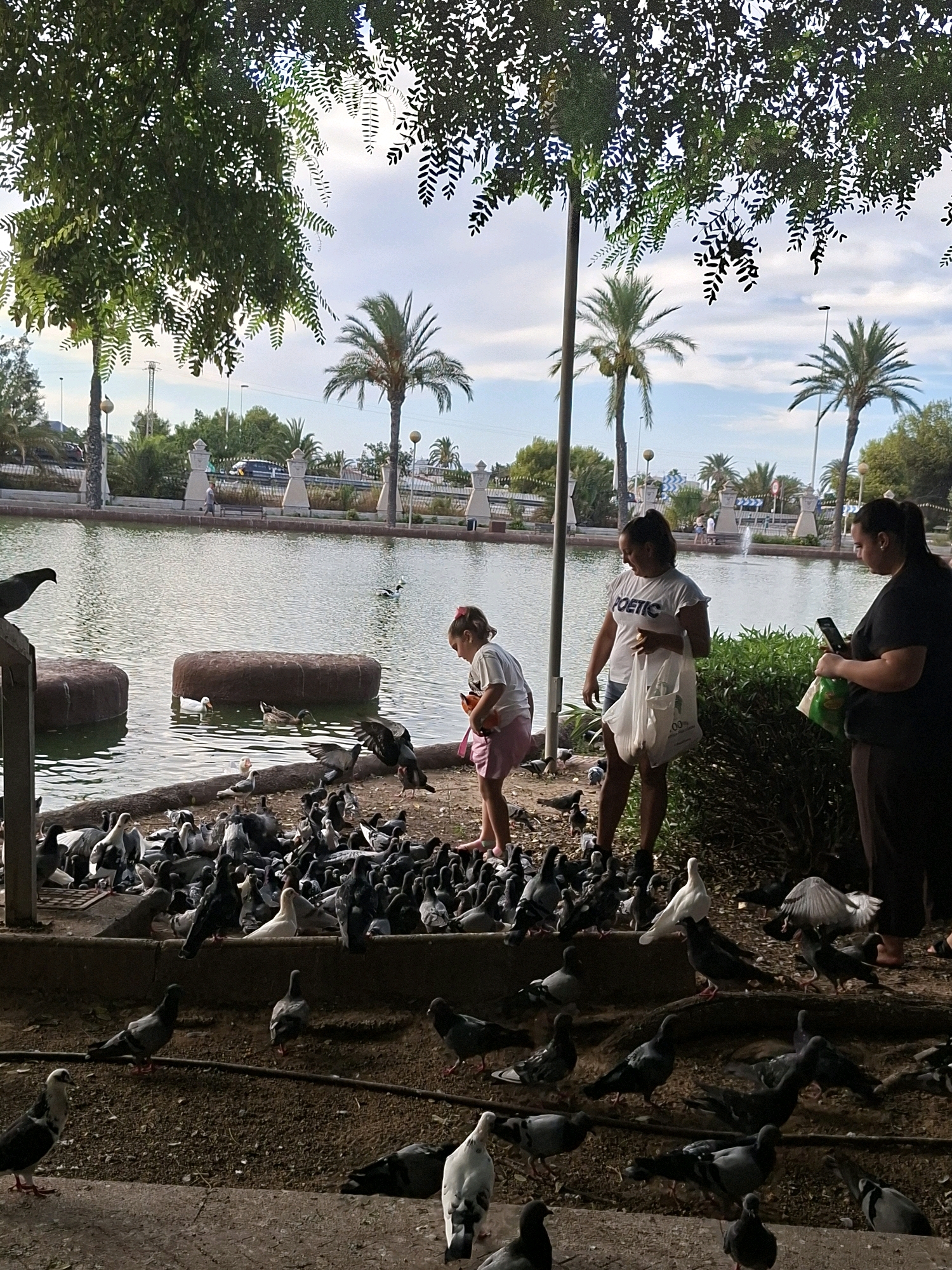 A group of people, including two adult females and one young female, are gathered by the edge of a large body of water, likely a park pond or lake, in Torrevieja, Spain. The young female is wearing a pink skirt and a white t-shirt, and she is holding a small bag of what appears to be birdseed. One of the adult females, wearing a white t-shirt with "POETIC" printed on it, is holding a large white plastic bag, also likely containing birdseed. The second adult female, dressed in black, is looking at her phone and holding a green bag. They are surrounded by a large flock of pigeons and several ducks are swimming in the water. The environment is a park setting, with lush green trees providing shade, palm trees visible in the background, and a walkway or path bordering the water. The sky is partly cloudy. The scene depicts people feeding birds in a public park.