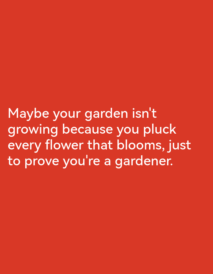 The image is a vertical photograph with a solid, vibrant red background. White text is overlaid on the bottom half of the image. The text reads: "Maybe your garden isn't growing because you pluck every flower that blooms, just to prove you're a gardener." There are no people, objects, actions, interactions, or environmental elements visible in the image, other than the text against the red background. The image is not located in Fergana City, Uzbekistan, or any other specific geographical location.