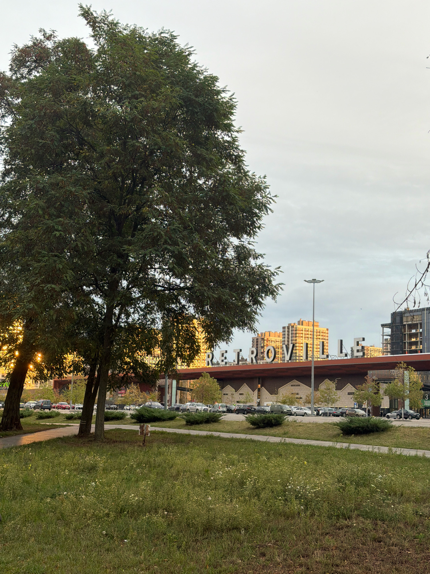 In the city of Kyiv, Ukraine, a serene outdoor scene unfolds at sunset. A large, leafy tree stands prominently in the foreground, its branches partially obscuring a view of a modern building with large letters spelling out "RETROVILLE" in white against a reddish-brown background. The building's architecture suggests a commercial or entertainment complex. Behind it, several multi-story buildings bask in the warm, golden light of the setting sun. A street runs parallel to the building, lined with parked cars and well-maintained green bushes. The ground in the foreground is covered with lush green grass and scattered wildflowers, indicating a park or public space. The sky is overcast with soft, diffused light, creating a peaceful and tranquil atmosphere. The overall scene is one of urban harmony, where nature and modern architecture coexist.