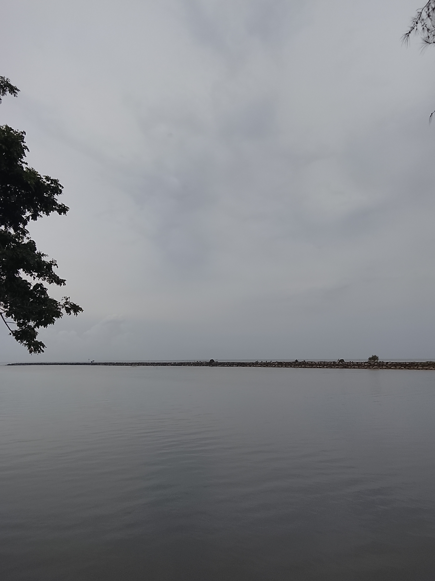 The image shows a calm body of water with a long, low breakwater extending across the horizon. The sky is overcast and gray. On the left side of the image, the branches of a dark green tree hang into the frame. The breakwater appears to be made of large stones and has sparse vegetation growing on it. There are a few small structures or objects visible on the breakwater in the distance. The water is still, with subtle ripples disturbing its surface. The scene conveys a sense of quiet and tranquility. The location is identified as Reudeuep, Indonesia.