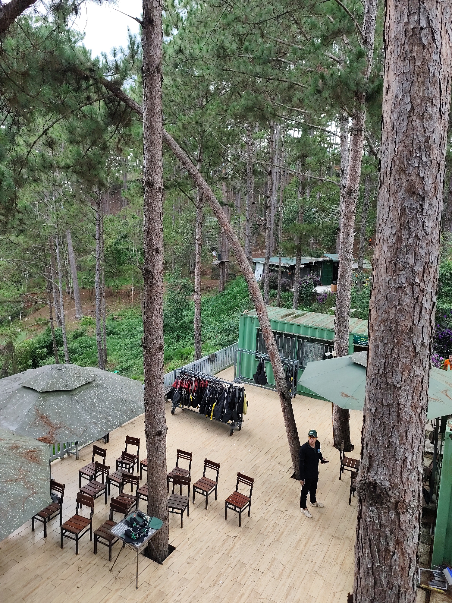 The image depicts a high-angle view of an outdoor area in Da Lat, Vietnam. The scene is surrounded by a dense pine forest. In the center is a platform with a light-colored wooden surface. The area contains seating arrangements with multiple wooden chairs placed around a table. Several green shipping containers are visible in the background, along with a clothes rack of diving gear. A person wearing a dark outfit and a baseball cap is standing on the platform. Trees are growing through the platform.