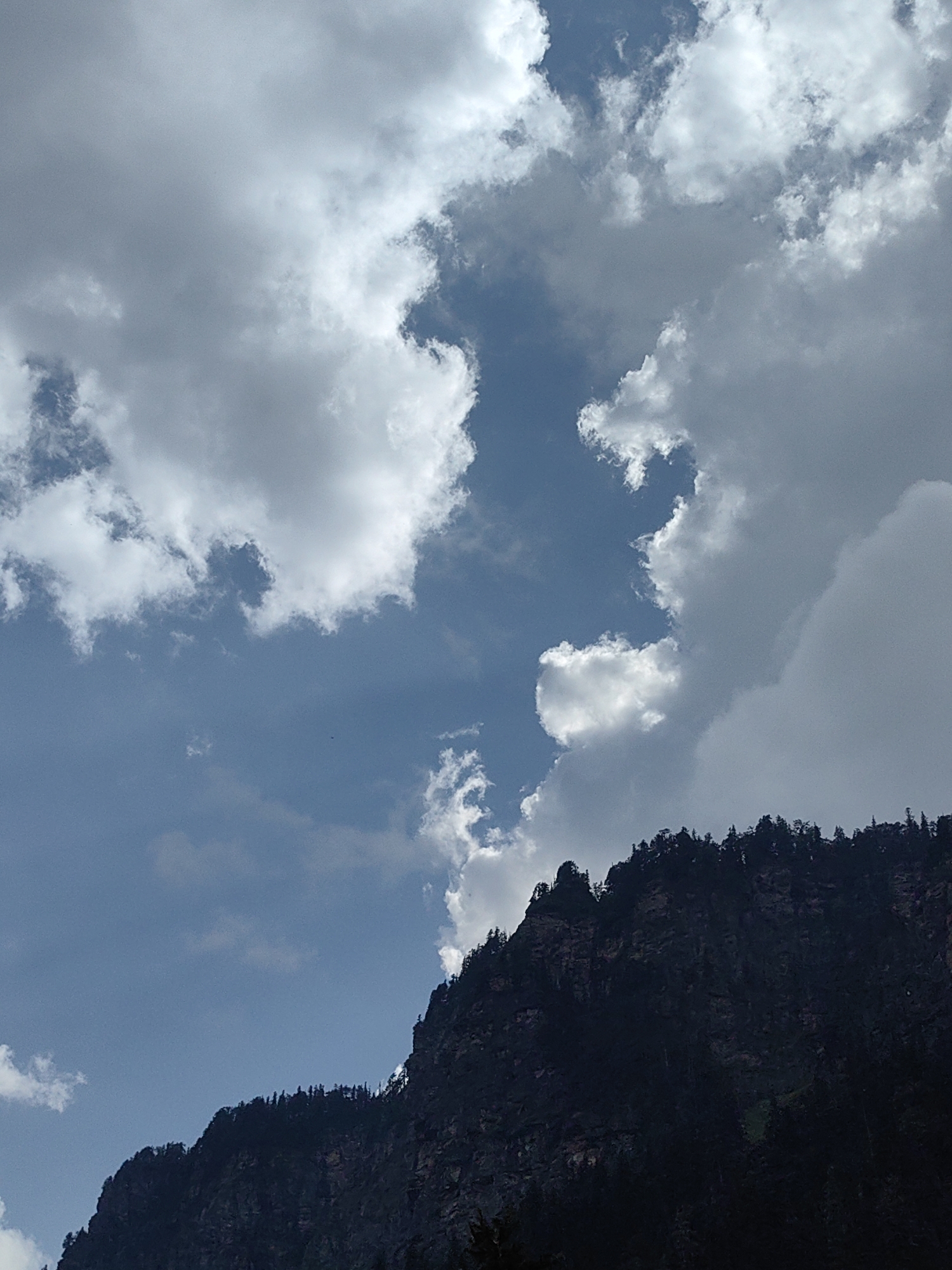 The image captures a dramatic mountain landscape with a dark, foreboding cliff face in the foreground, heavily laden with dense evergreen trees. The cliff's rugged texture is accentuated by the dark, silhouetted trees that crown its summit, suggesting a remote and wild terrain. Above, a vast expanse of sky is filled with an array of clouds. The clouds range from bright, wispy formations to heavier, more brooding masses, creating a dynamic contrast between light and shadow. Some clouds are illuminated by sunlight, appearing almost white and ethereal, while others are darker, hinting at impending weather or simply the way light interacts with their density. The overall impression is one of natural grandeur and untamed beauty, characteristic of mountainous regions.