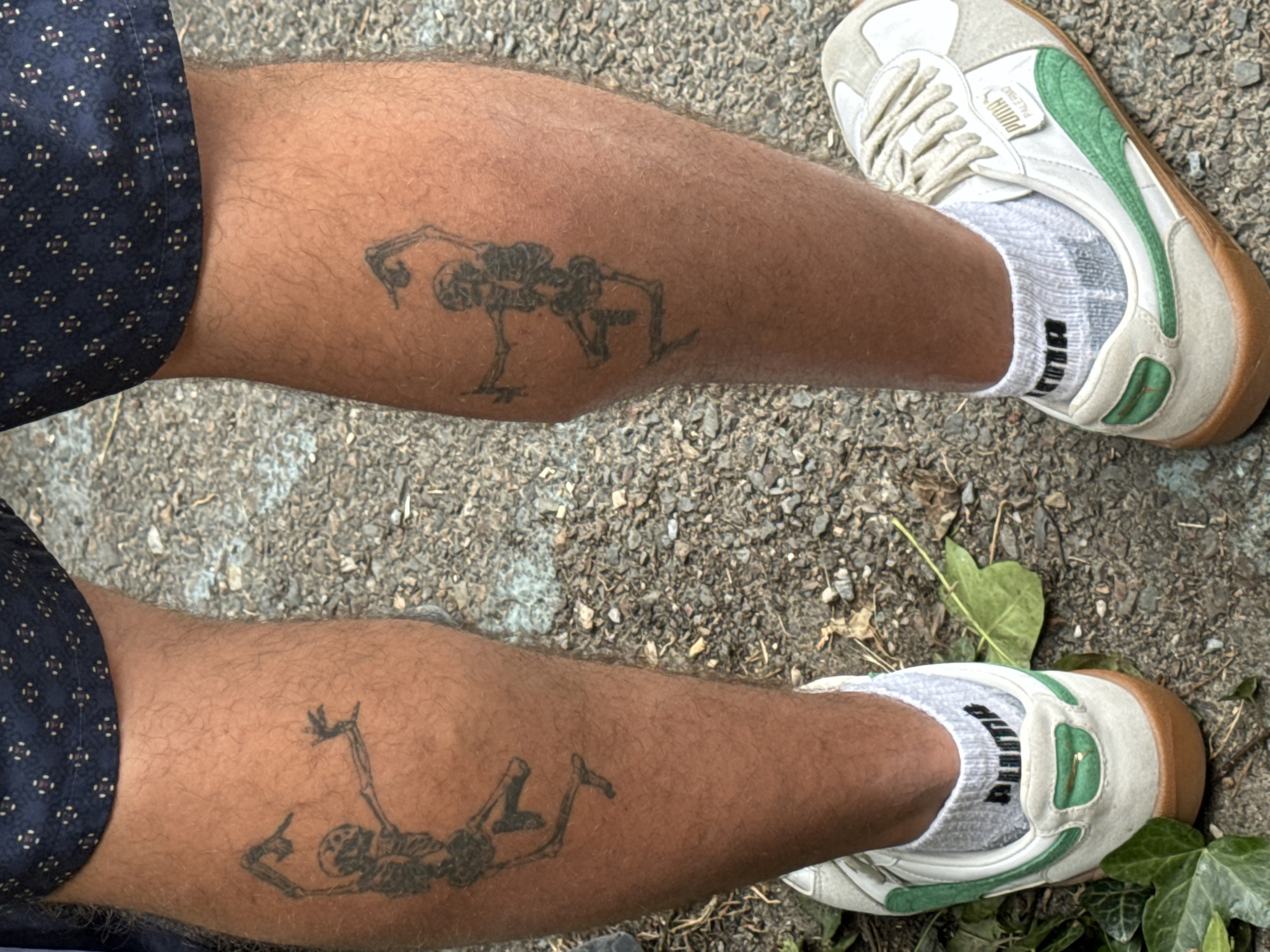 Two human legs, displaying identical skeleton tattoos on the calves, are visible from the knees down. The left leg's tattoo depicts a skeleton in a dynamic pose, with one arm raised and pointed. The right leg's tattoo mirrors this pose, with a raised and outstretched arm. Both legs are covered in light hair and are clad in grey Puma socks and white and green Puma Palermo sneakers. The background consists of a gravelly surface with some scattered green leaves and ivy. The scene appears to be outdoors.