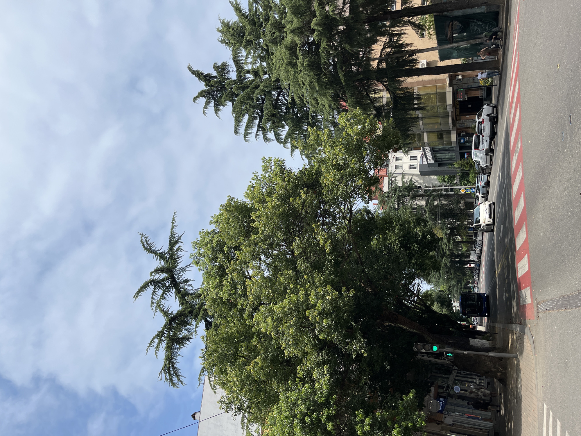 The image depicts a street scene in Batumi, Georgia, on a sunny day with scattered clouds. A wide, paved street runs through the center of the frame, lined with trees and buildings. A crosswalk with red and white stripes is visible in the foreground. Several cars are parked along the street, and a blue bus is in motion. Pedestrians are visible on the sidewalk, including a person near a traffic light and a few individuals sitting on a bench. Buildings of varying architectural styles, some with modern glass facades and others with more traditional designs, flank the street. Lush green trees, including tall pine trees and a large deciduous tree, are prominent, casting shadows on the street and sidewalk. The overall atmosphere suggests a typical urban environment in a city with a Mediterranean climate.