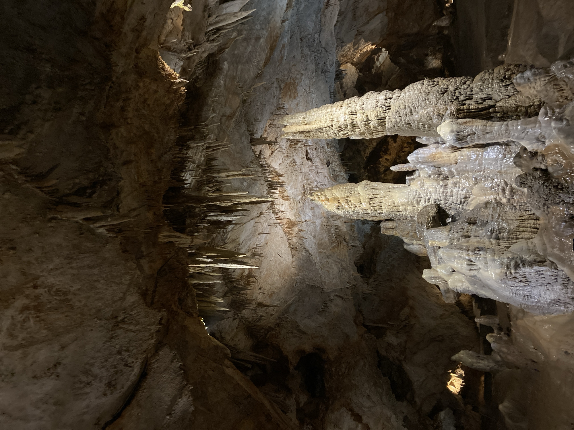 The image depicts the interior of Lipa Cave, located in Lipa Dobrska, Montenegro. The scene showcases various speleothems, including stalactites and stalagmites, formed from mineral deposits over time. The cave walls are textured and uneven, with a mix of light and dark shades due to varying light exposure. Some formations appear wet and shiny, while others are dry and rough. The overall lighting is dim, with artificial lights highlighting specific areas to enhance the visibility of the cave's geological features. There are no people visible in the image.