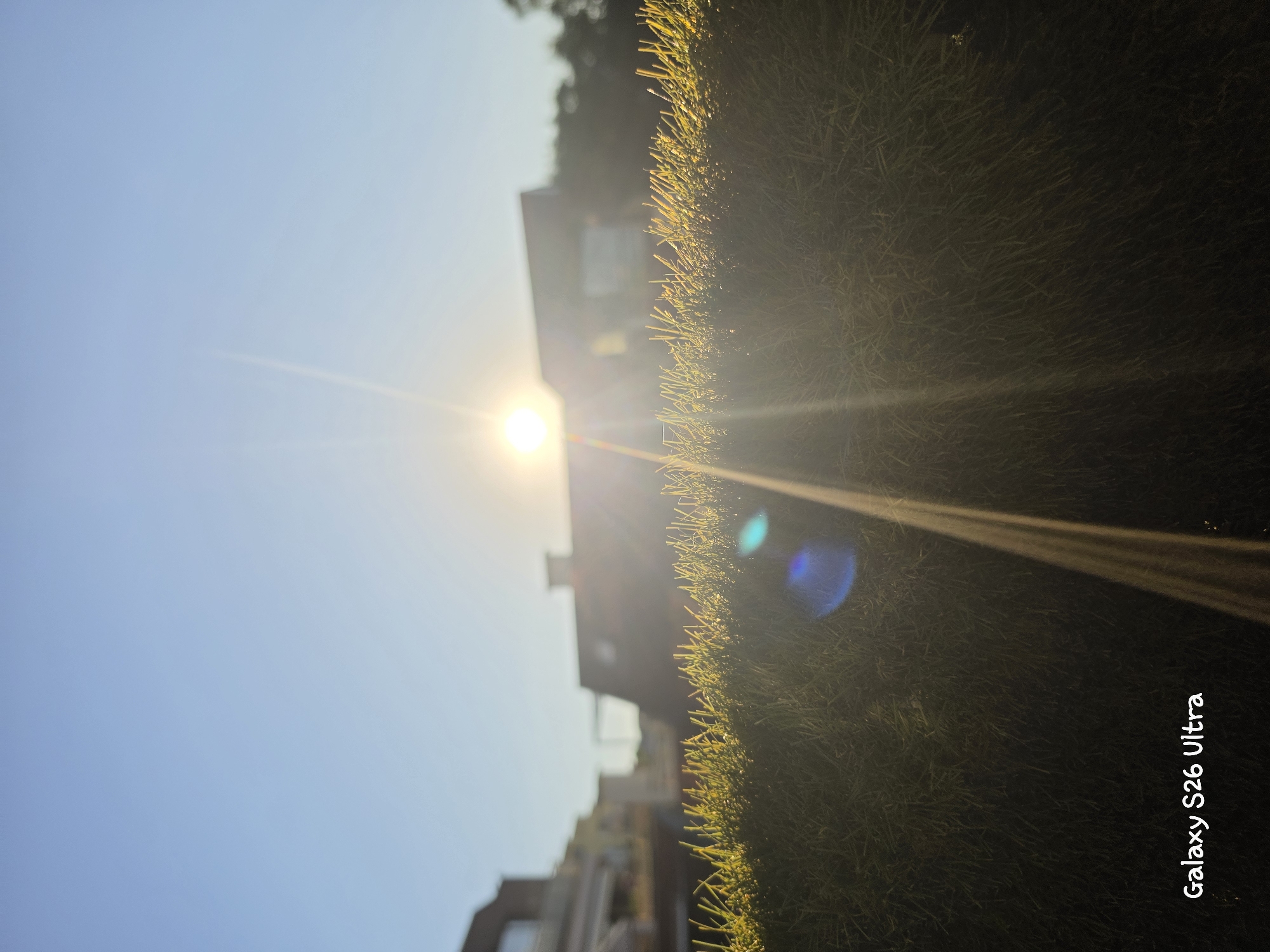 A low-angle, close-up shot of grass is featured in the foreground, with the sun in the background creating a lens flare effect and a lens flare artifact. Buildings, likely residential, are visible behind the grass, with a clear blue sky overhead. The sun is setting or rising, casting a warm glow on the scene. A text watermark "Galaxy S26 Ultra" is present in the bottom left corner. The image appears to be taken in Plovdiv, Bulgaria, possibly in a park or a residential area with greenery.