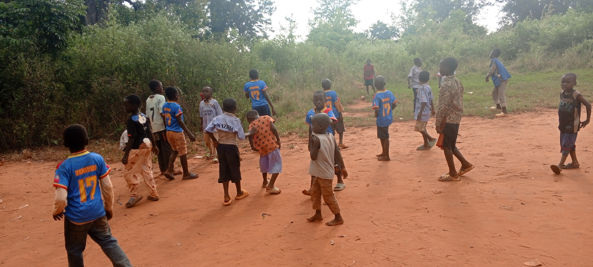 A group of about 15 children stand and walk on a red dirt road. They are wearing various clothes, including blue soccer jerseys. The road is surrounded by dense green vegetation. The location is Ngalula, Democratic Republic of the Congo.