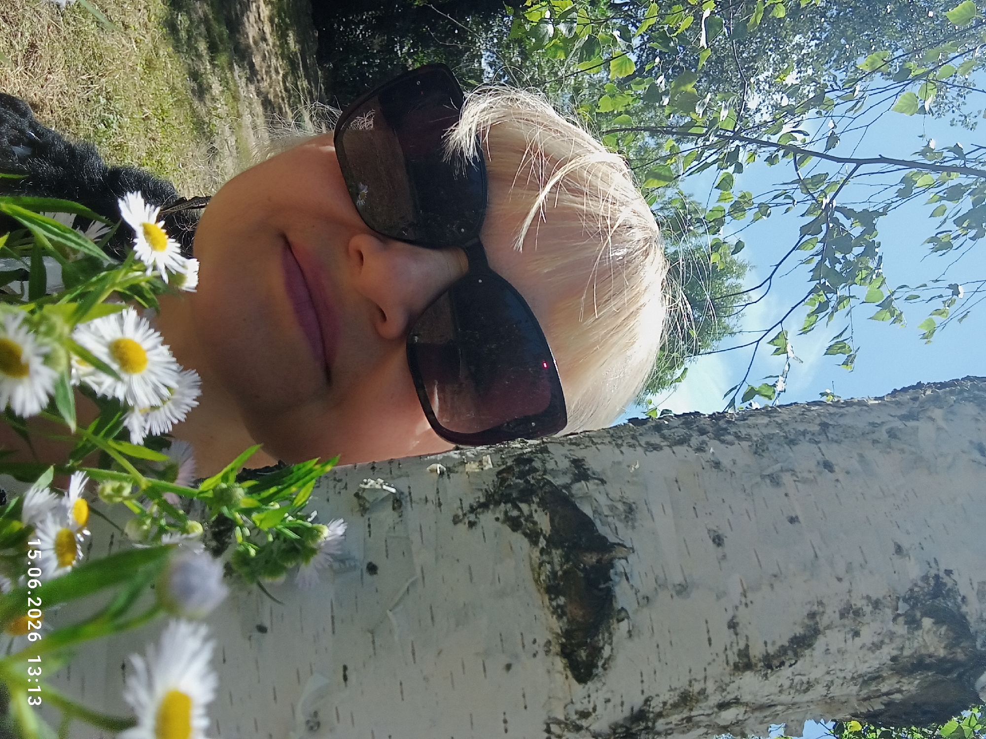 The image shows a close-up of a woman's face, partially obscured by a birch tree trunk. She is wearing large, dark sunglasses and has blonde hair. In the foreground, a cluster of small white daisies with yellow centers is in focus. The background shows dappled sunlight filtering through green leaves and a bright blue sky. The setting appears to be outdoors, possibly a park or natural area, with dry grass and fallen leaves on the ground. A timestamp "15.06.2026 13:13" is visible in the bottom right corner.