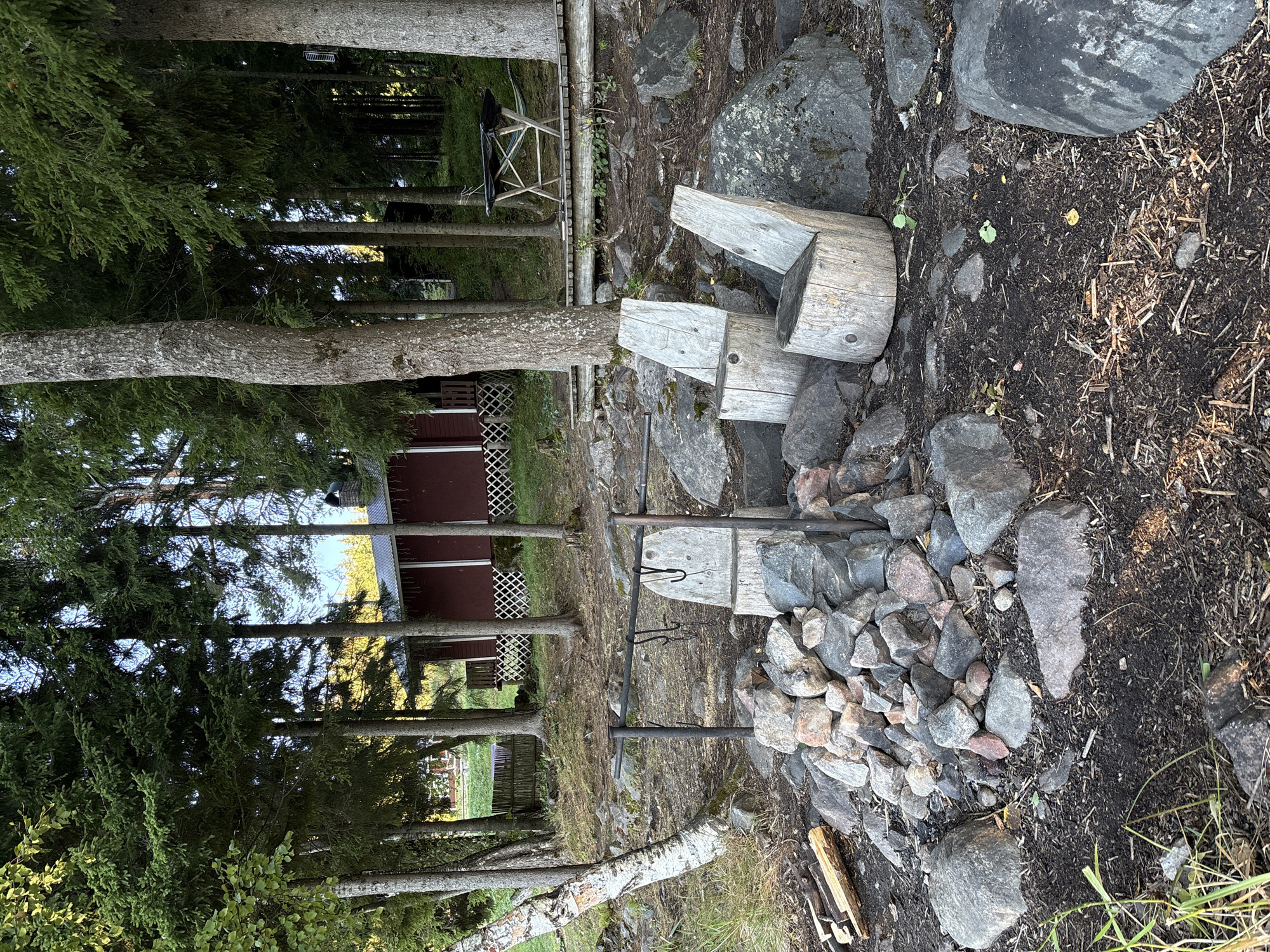 The image depicts an outdoor scene in Rautalakhti, Russia, characterized by a natural, rustic setting. In the foreground, a fire pit constructed from stones is central, with several unburnt logs placed to its left. To the right of the fire pit are two chairs made from tree stumps, each with a wooden backrest. Behind these chairs, a wooden platform with a black tarp-covered table and a hammock can be seen. Further in the background, a dark red building with white trim and latticework details is nestled amongst a dense forest of tall coniferous trees. The ground is uneven, covered with a mixture of soil, stones, and fallen leaves and twigs. The lighting suggests it is either morning or late afternoon, with sunlight filtering through the trees. There are no people visible in the image.