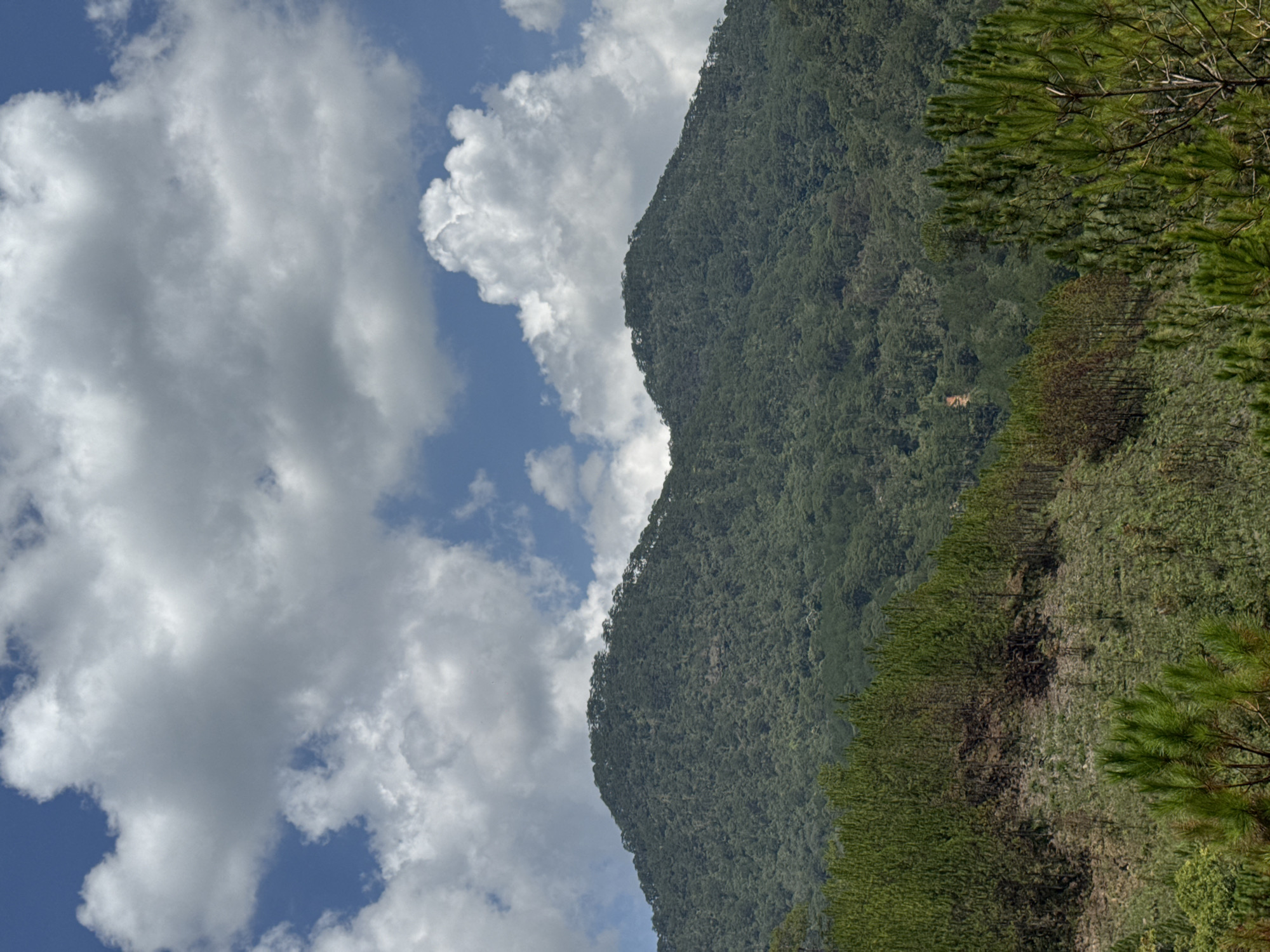 The image shows a mountainside landscape under a partly cloudy sky. The left side of the frame is dominated by a blue sky with large, puffy white clouds. The right side features a densely forested mountainside, with various shades of green indicating different types of vegetation. In the foreground, the edge of a pine tree is visible. The location is Xuan Huong - Da Lat, Vietnam.