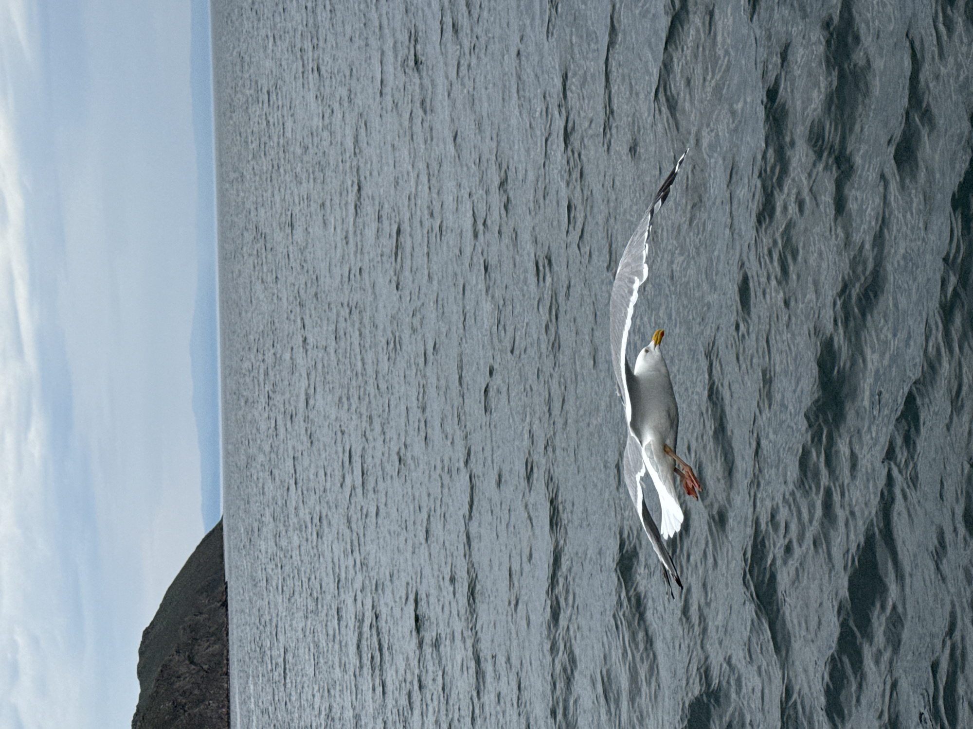 A solitary seagull flies low over choppy, dark gray water. The seagull, seen from the side, is predominantly white with gray markings on its wings and tail. Its beak is yellow, and its legs are orange. In the distance, a rugged, dark green mountain slope juts out from the left side of the frame, meeting the water. Beyond the mountain and the immediate body of water, a hazy blue mountain range is visible on the horizon under a cloudy, pale blue sky. The overall impression is one of a wild, natural landscape. The scene is located near the village of Sakhiurta, Russia.
