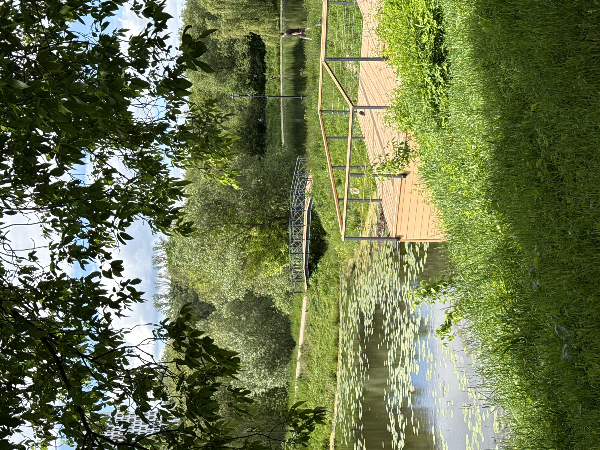 The image depicts a serene park scene in Moscow, Russia. A body of water, likely a pond or lake, is visible, covered with numerous lily pads. A wooden deck with metal railings extends over the water. Lush green vegetation, including grass and trees, surrounds the water's edge. A pedestrian bridge can be seen in the distance. A person is visible floating in the water. The foreground is partially obscured by tree branches and foliage.