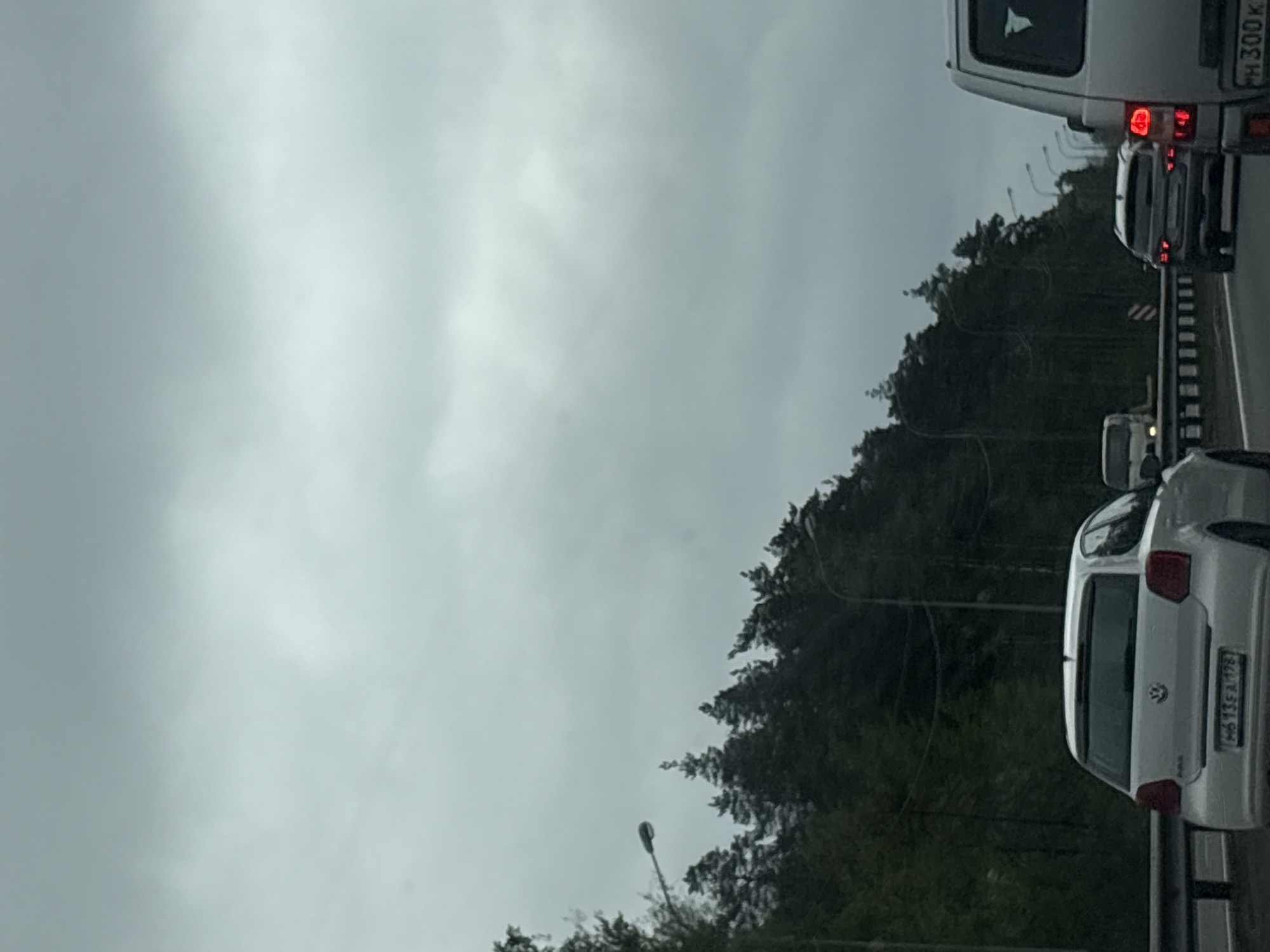 The image depicts a traffic scene near Myaglovo, Russia, under an overcast sky. A line of vehicles is visible, including a white van with license plate "PH 300K" and a white Volkswagen hatchback with license plate "H6 13EZ 178". The cars are on a highway adjacent to a dense green forest. Streetlights are sparsely positioned along the road.