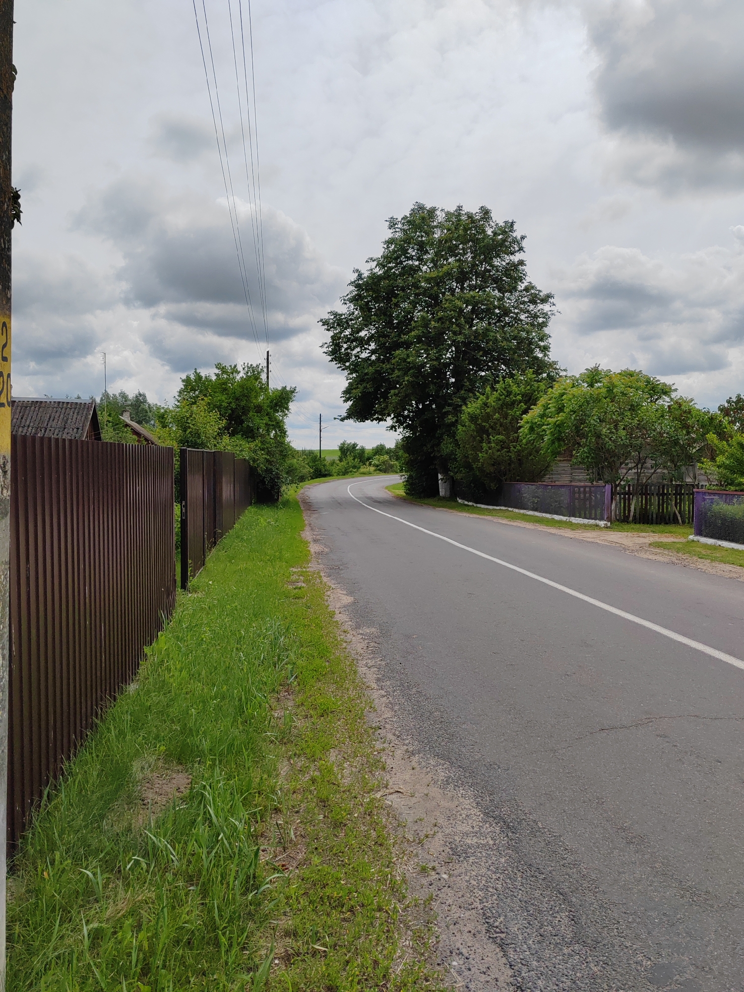 The image depicts a rural road scene in the Воўчынскі сельскі Савет, Belarus. The road, asphalt with a white dividing line, curves to the right. On the left side of the road, a tall, brown corrugated metal fence runs along a patch of green grass. Beyond the fence, a dark-colored roof of a building is visible, partially obscured by trees. A utility pole with visible wires stands to the left of the frame. On the right side of the road, a series of fences, some with a purple decorative top, borders a property with dense green foliage and trees. A large, mature tree with dark green leaves dominates the middle ground on the right side of the road. The sky is overcast with thick, gray clouds. The environment appears to be a residential area on the outskirts of a village or rural settlement. There are no people visible in the image.