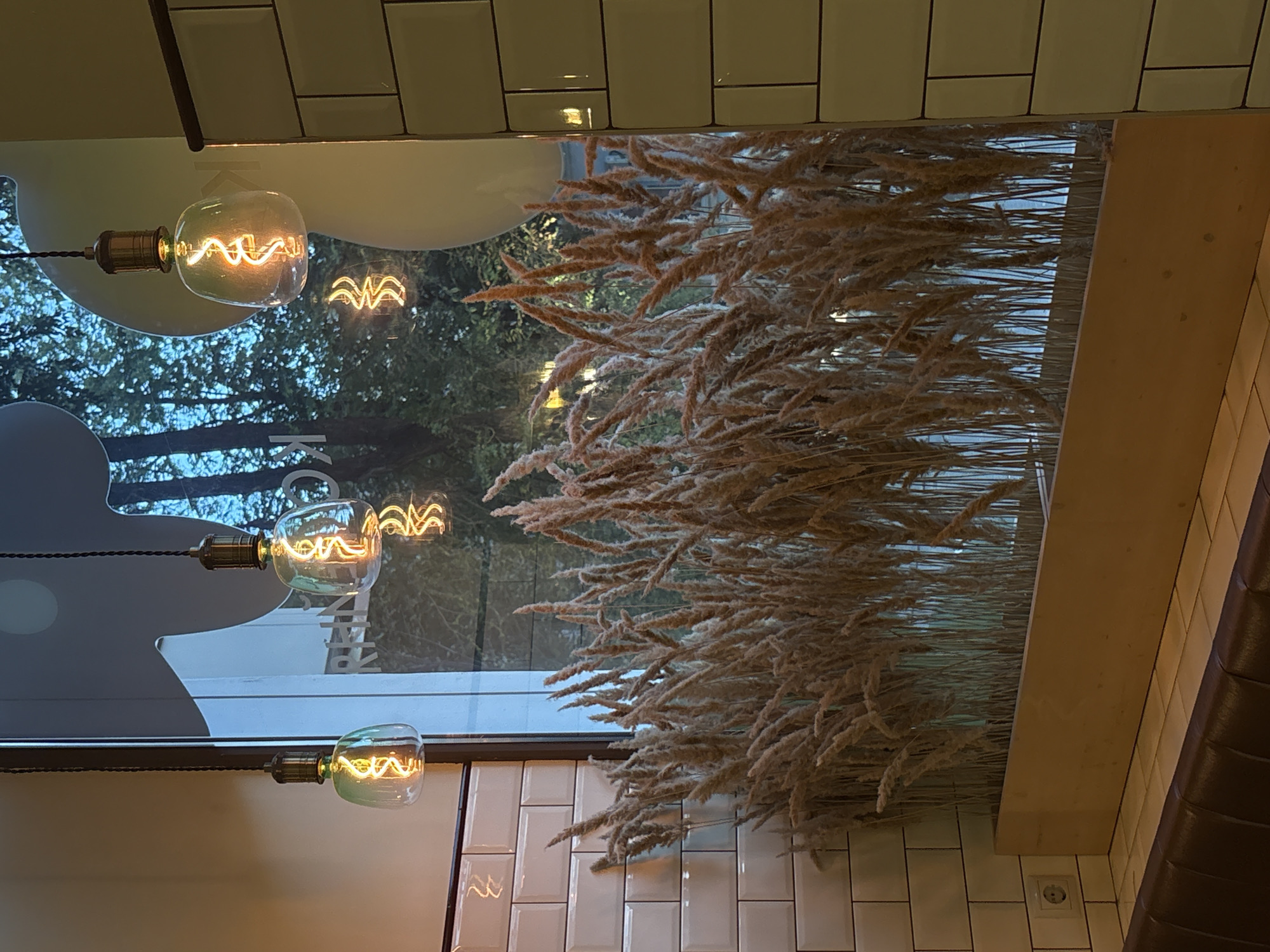 The image shows an indoor scene with three Edison-style light bulbs hanging from cords. The bulbs emit a warm, yellow light and have visible spiral filaments. They are positioned in front of a large window that looks out onto trees and the sky, suggesting an outdoor environment. In the foreground, a planter filled with tall, dried grass or reeds is visible. The walls are tiled with white and light green rectangular tiles. A brown leather bench is situated in the lower part of the image, below the planter. An electrical outlet is visible on the tiled wall to the left. The overall atmosphere is cozy and somewhat rustic. The image appears to be taken from inside a cafe or restaurant. There is no indication of the specific location in Rostov-on-Don, Russia.