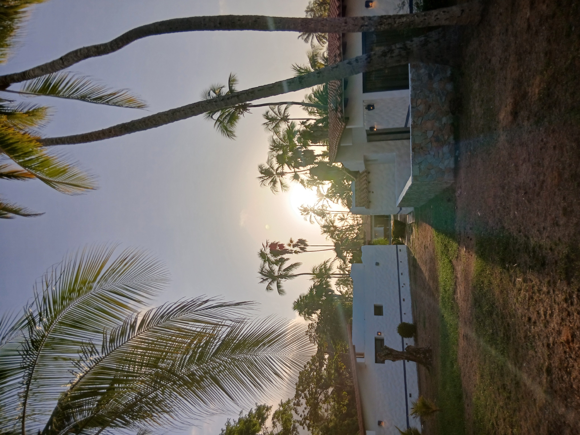The photograph captures a sunny day scene in Playa El Agua, Venezuela. Tall palm trees with lush green fronds are prominently featured in the foreground, their leaves reaching towards a bright, sunlit sky. Behind the trees, a cluster of smaller palm trees is illuminated by the sunlight.
A two-story building stands in the midground. The facade is primarily white with stone accents.
A lawn runs along the right side of the image, transitioning from green grass closer to the building to brownish grass further away. The sky is a gradient of light blue.