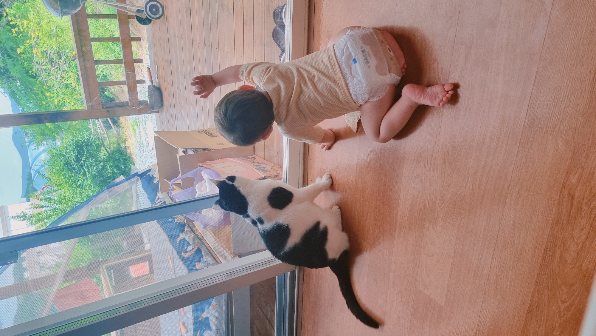 A baby wearing a diaper and a light yellow shirt is crawling on a wooden floor towards a black and white cat. The cat is sitting up and looking at the baby. Through a screen door and windows, a view of the countryside in Dunnae-myeon, South Korea, is visible, including trees, a building, and a distant mountain. A wooden deck with a railing is also visible. A cardboard box and other items are near the window.