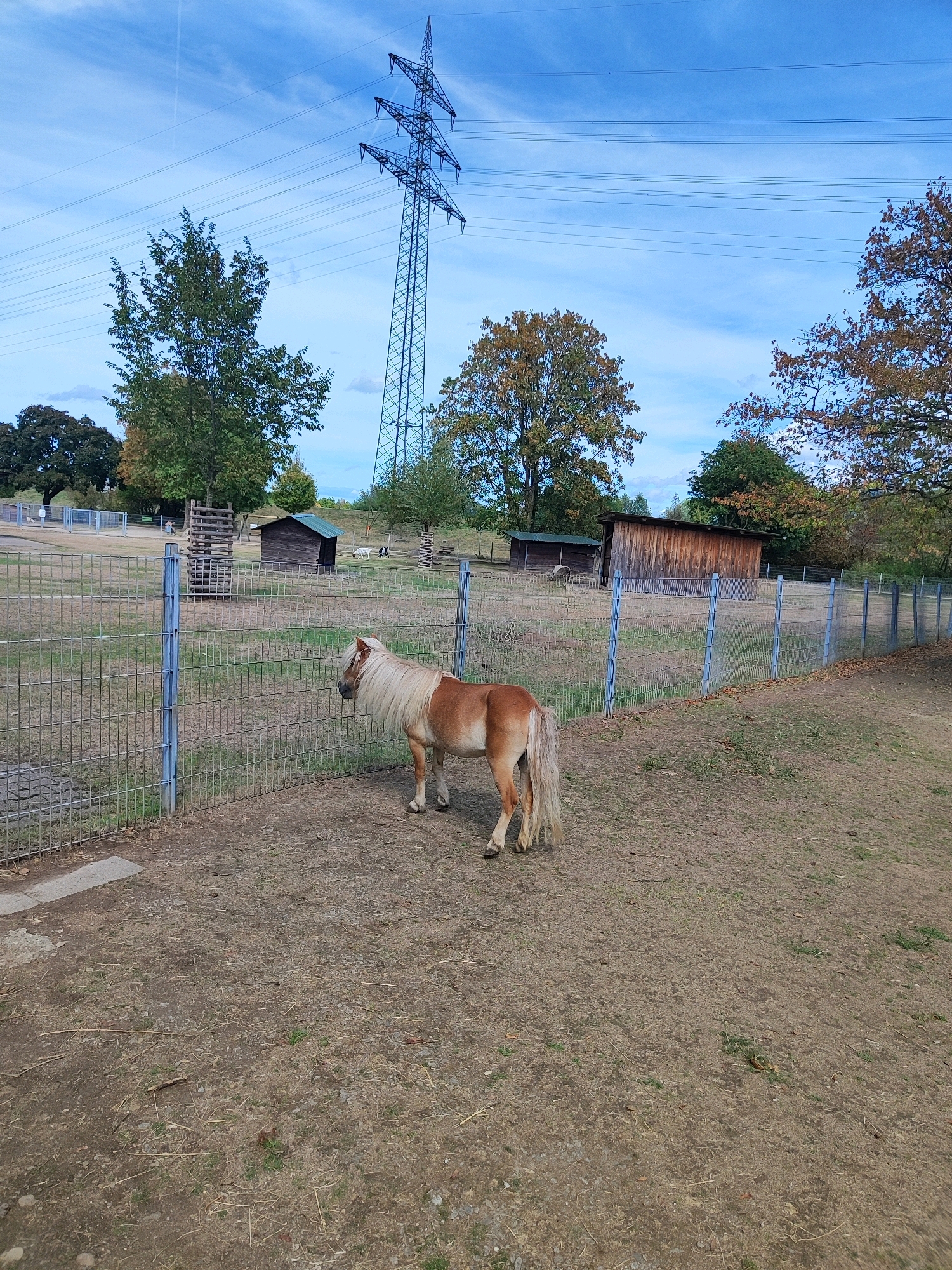 The image depicts an outdoor scene in a fenced enclosure, likely a petting zoo or animal park. In the foreground, a light brown pony with a long, blonde mane and tail stands facing right, looking towards the right edge of the frame. The ground of the enclosure is dry and dusty with scattered pebbles and dry grass. A metal fence runs across the mid-ground, separating the pony from the rest of the enclosure.
Beyond the fence, several structures are visible. To the left, there are two small, dark wooden sheds with green roofs. Further back, a taller, wooden structure with a rough-hewn exterior and a sloping roof is situated. In the distance, trees with autumn foliage are present, some with green leaves and others with yellow and orange hues.
Dominating the sky, a large, lattice-like pylon for high-voltage power lines stands tall, with multiple wires stretching horizontally across the blue sky, punctuated by scattered white clouds. In the far background, beyond the enclosure and trees, a faint, light-colored structure and more trees are visible. The overall impression is one of an agricultural or recreational area on the outskirts of a city, with the power pylon indicating proximity to infrastructure. The scene appears to be in the city of Offenburg, Germany.