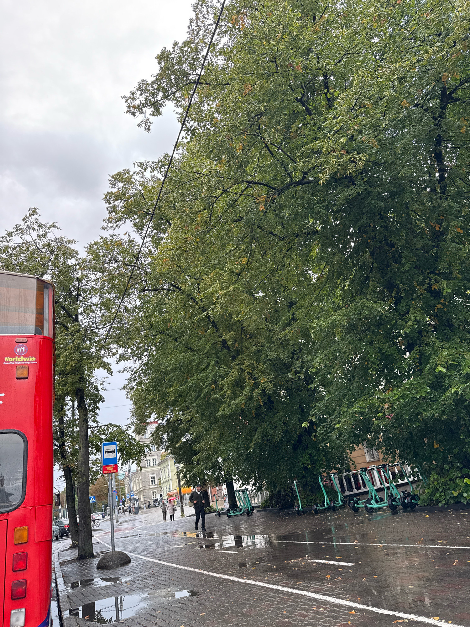 The image depicts a street scene in Tallinn, Estonia, characterized by a wet, overcast day. A prominent red double-decker bus is parked on the left side of the frame. In the background, several electric scooters are lined up near a row of trees. Pedestrians are visible on the sidewalk, some with umbrellas, suggesting recent or ongoing rain. Buildings in the background indicate an urban setting. The ground is wet, with puddles reflecting the overcast sky and surrounding environment. The overall atmosphere is somber, likely due to the weather conditions.