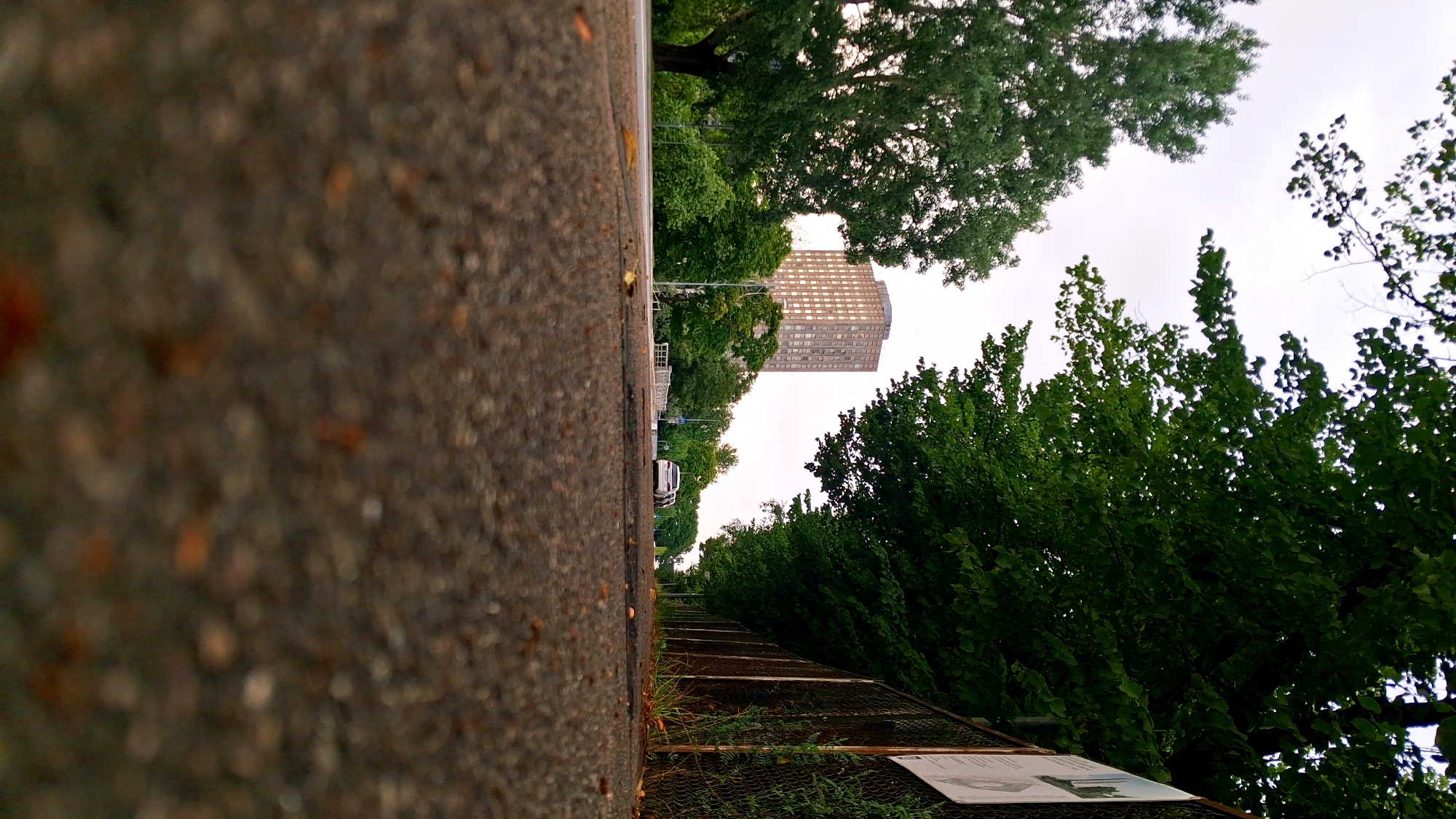 The image depicts a low-angle view of a street in Riga, Latvia. In the foreground, the textured asphalt of the road or sidewalk is visible, with scattered small pebbles and fallen leaves. Beyond this, a street stretches into the distance, bordered by a chain-link fence with a poster attached to it on the right side. Lush green trees line the left side of the street, with a tall, multi-story building featuring numerous windows visible in the middle ground, centered between the trees. Further down the street, two white cars are parked or driving. The sky above is overcast, with a muted, cloudy appearance. The scene suggests a calm, daytime environment within an urban setting.