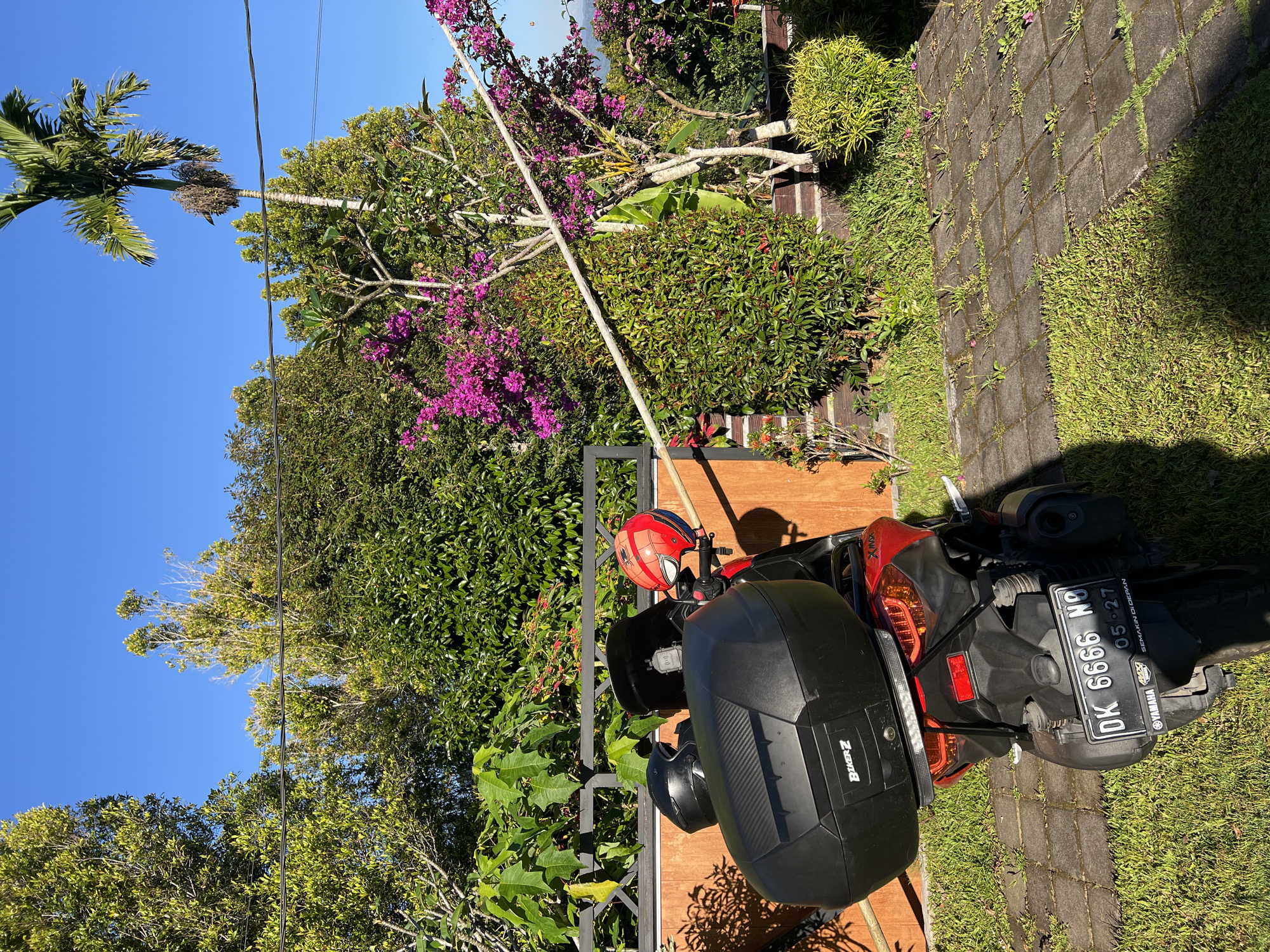 In Busungbiu, Indonesia, a red and black Yamaha XMAX scooter is parked on a paved area adjacent to a grassy lawn. The scooter is equipped with a large black storage box on the rear and two helmets, one black and one a red Spider-Man design, are placed on the handlebars. A wooden fence with a dark metal railing runs behind the scooter. The background features lush green foliage, including trees, bushes, and vibrant pink bougainvillea flowers, under a clear blue sky. A single power line is visible against the sky. The scene is bathed in bright sunlight, casting shadows on the scooter and pavement.