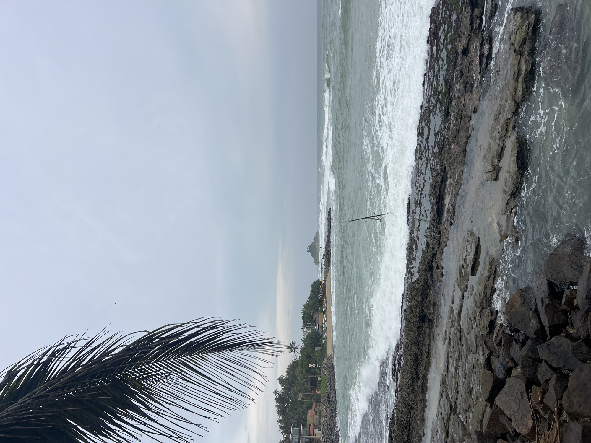 The image depicts a coastal scene in Goviyapana, Sri Lanka. The view is from an elevated position, potentially rocky terrain, overlooking the ocean. The sea is turbulent with white waves crashing against a rocky shoreline. In the distance, there's a small island or a rock formation in the sea. The vegetation along the coast includes trees, and there are visible buildings suggesting a populated area. A palm frond occupies the lower-left corner of the frame. The sky is overcast and uniformly grey.
