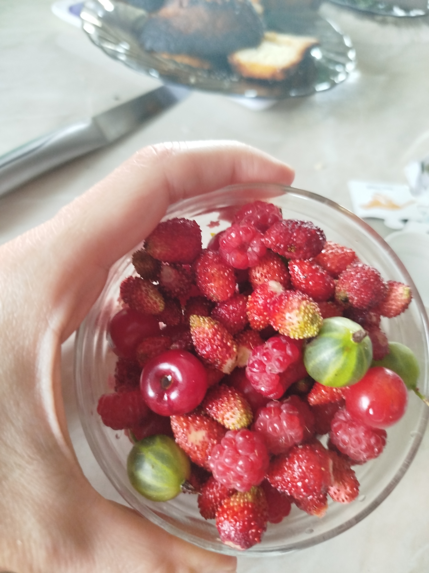 A hand is holding a clear glass bowl filled with various berries, including small wild strawberries, raspberries, and some gooseberries. There are also two red cherries. In the background, a metal knife is visible, as well as a plate of baked goods. The setting appears to be a table indoors, possibly in Zavodoukovsk, Russia, given the context provided. The lighting suggests it might be daytime.
