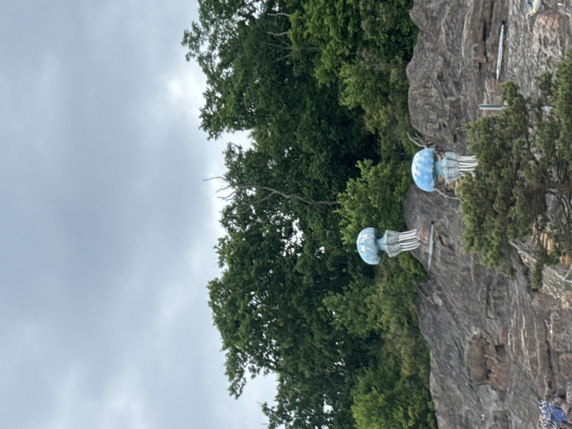 Two stylized blue jellyfish sculptures are perched on a rocky outcrop, set against a backdrop of dense green trees under an overcast sky. The sculpture on the left is taller and more prominent, with a bulbous top and long, trailing tentacles. The second jellyfish sculpture, slightly smaller, is positioned to the right and lower on the outcrop. The rocky terrain is uneven, with distinct layers and some smaller green bushes and trees growing from it. In the distance, the trees form a thick, dark green canopy. The overall impression is of an outdoor art installation or a themed park area. This scene is located in the city of Vladivostok, Russia.