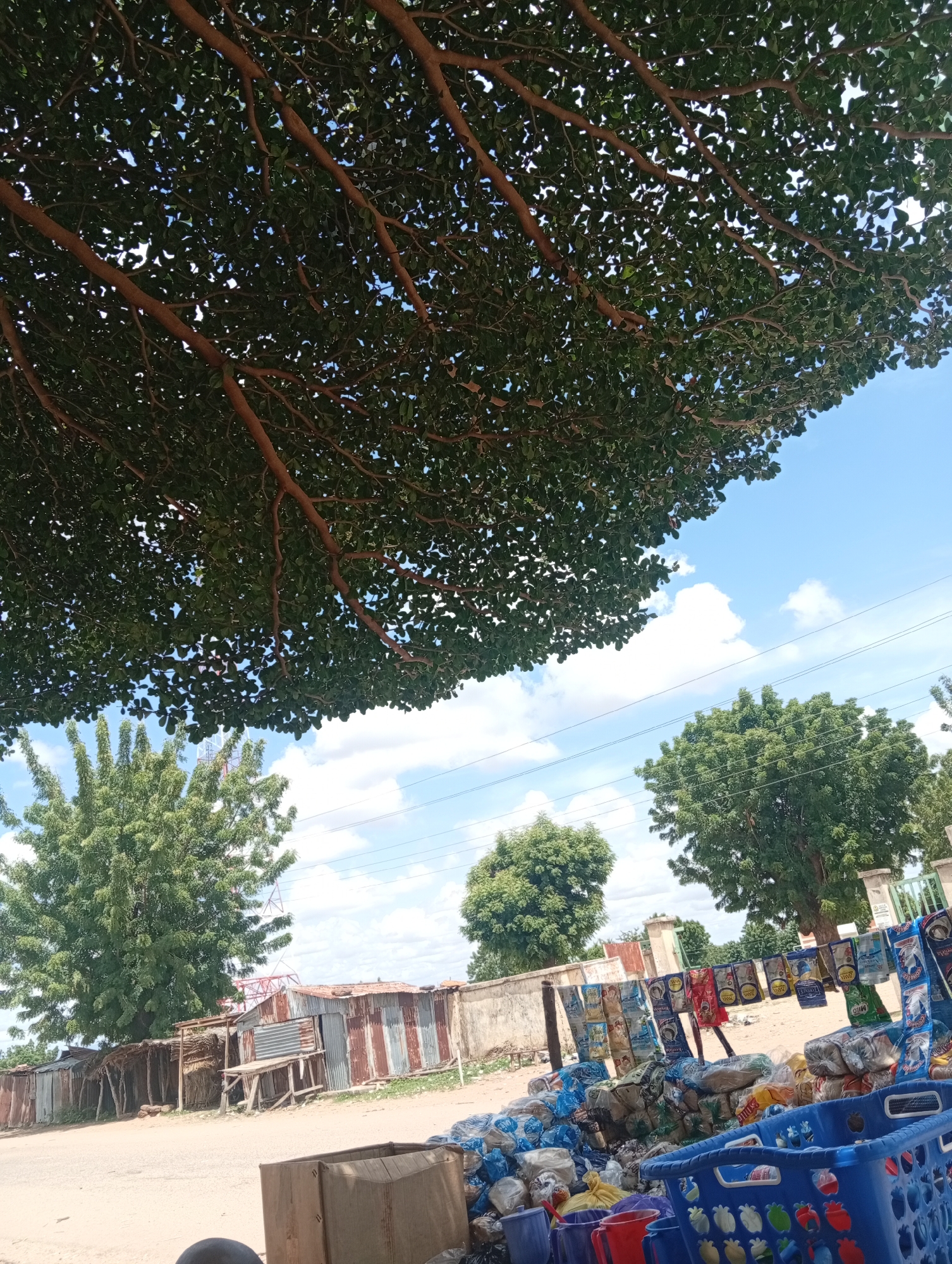 This is a photograph taken outdoors in Zongoma Kyari, Nigeria, under a tree canopy. The scene depicts a roadside market with various goods displayed. In the foreground, a blue plastic basket is filled with items, and to the left, a cardboard box is partially visible. The market stall itself features a variety of bagged products, possibly food items or snacks, hanging on a line and piled on the ground. Behind the market stall, a row of simple structures with corrugated metal roofs are visible, suggesting a humble or informal commercial area. In the background, large green trees are prominent, and the sky is blue with scattered white clouds. Utility poles and wires are also present, indicating the presence of infrastructure. The overall impression is of a sunny day in a rural or semi-urban setting where informal trade is taking place.