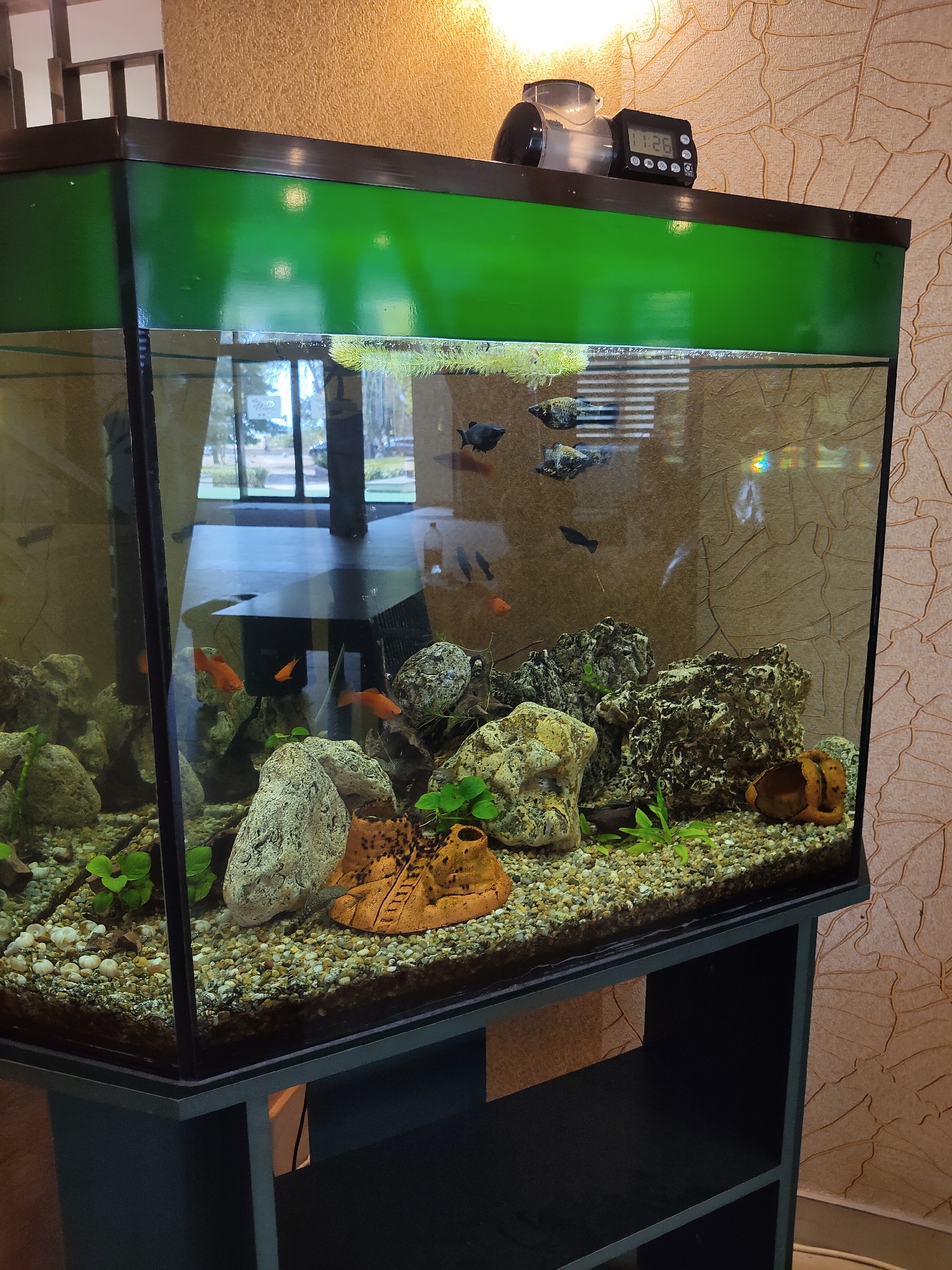 A dimly lit interior scene shows a fish tank with a green frame. The tank contains several small fish, gravel substrate, rocks, and plants. There is a digital timer with a black casing and a white display on top of the tank. The background consists of a textured wall with a leaf-like pattern and a reflection of a room with large windows and a table in the fish tank. The fish tank is placed on a dark stand.
