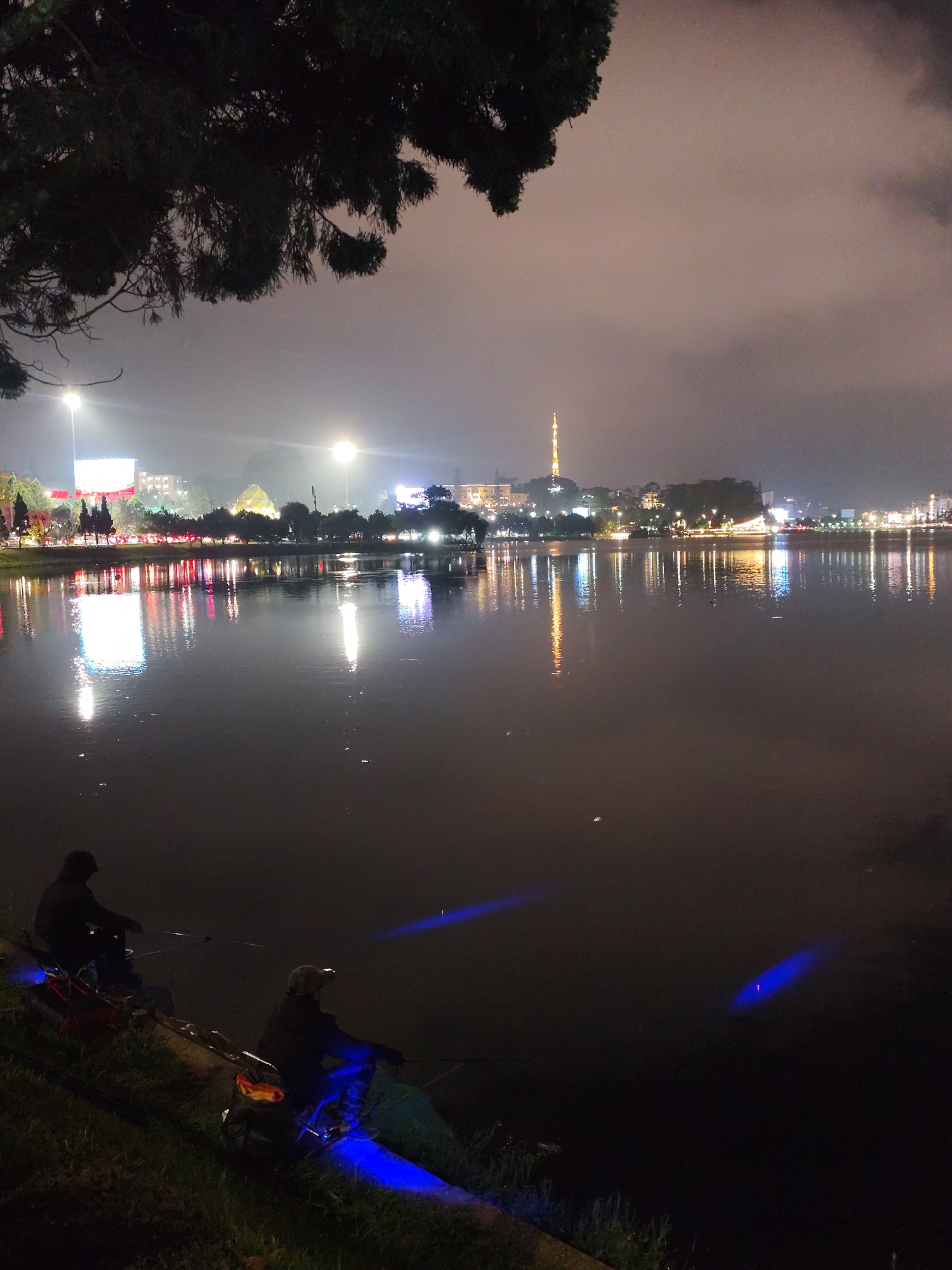 The image depicts a nighttime scene at Xuan Huong Lake in Da Lat, Vietnam. The lake reflects the lights of the city, including buildings, streetlights, and a television tower. In the foreground, two individuals are fishing from the bank of the lake. Their fishing equipment includes blue lights illuminating the water near their lines. The scene is partially obscured by a tree branch in the upper left corner. The sky is overcast.