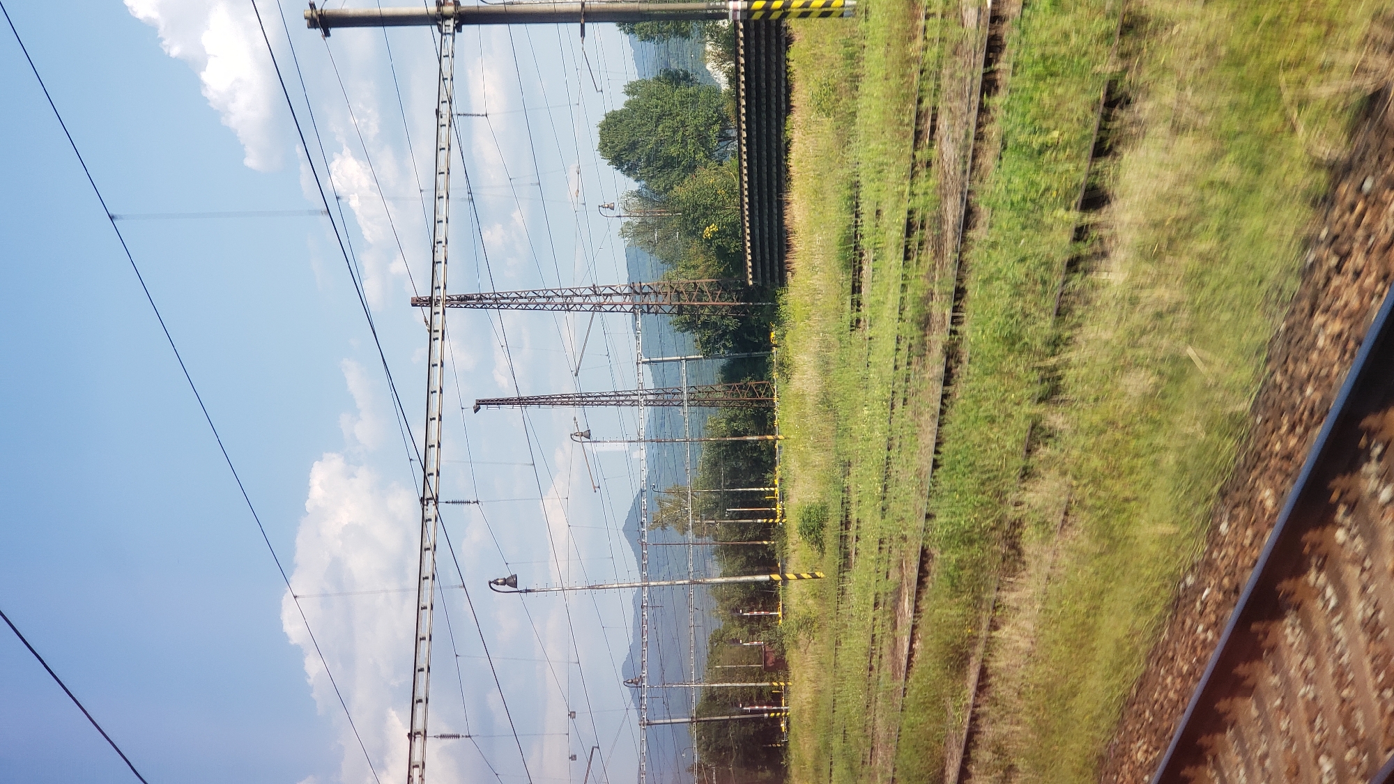 The image depicts a view of train tracks and overhead electrical wires in the city of Martin, Slovakia, likely taken from a moving train. In the foreground, multiple sets of train tracks run parallel to each other, with one set in sharp focus and others receding into the distance. The tracks are partially overgrown with tall, green grass and wildflowers.
In the middle ground, a large grassy area is dotted with trees of varying heights and foliage density. Several tall, slender utility poles with lights are visible, as are two tall, lattice-like metal towers. A long, dark, rectangular structure, possibly a building or a covered platform, is situated behind some of the trees. In the background, a range of distant, hazy mountains forms the horizon under a bright blue sky with scattered white clouds. The overall impression is a semi-rural or industrial area adjacent to the railway.