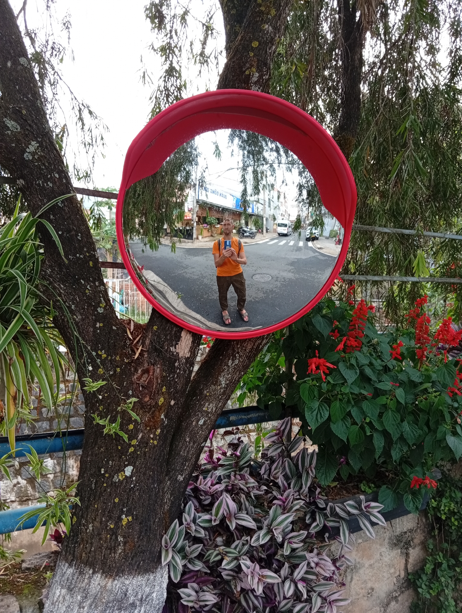 The image depicts a convex safety mirror affixed to a tree in what appears to be an urban setting. In the reflection, a man is standing on a paved road, holding a mobile phone and facing the mirror, presumably taking the picture. He is wearing an orange t-shirt, brown pants, and sandals.
The road behind the man appears to have low-rise buildings on both sides. There is a white van visible in the background of the mirror's reflection.
The tree to which the mirror is attached has multiple branches and is surrounded by greenery, including red flowering plants and other foliage. A blue metal fence runs along the side of the street.
Based on the general aesthetic, the location appears to be in Da Lat, Vietnam.