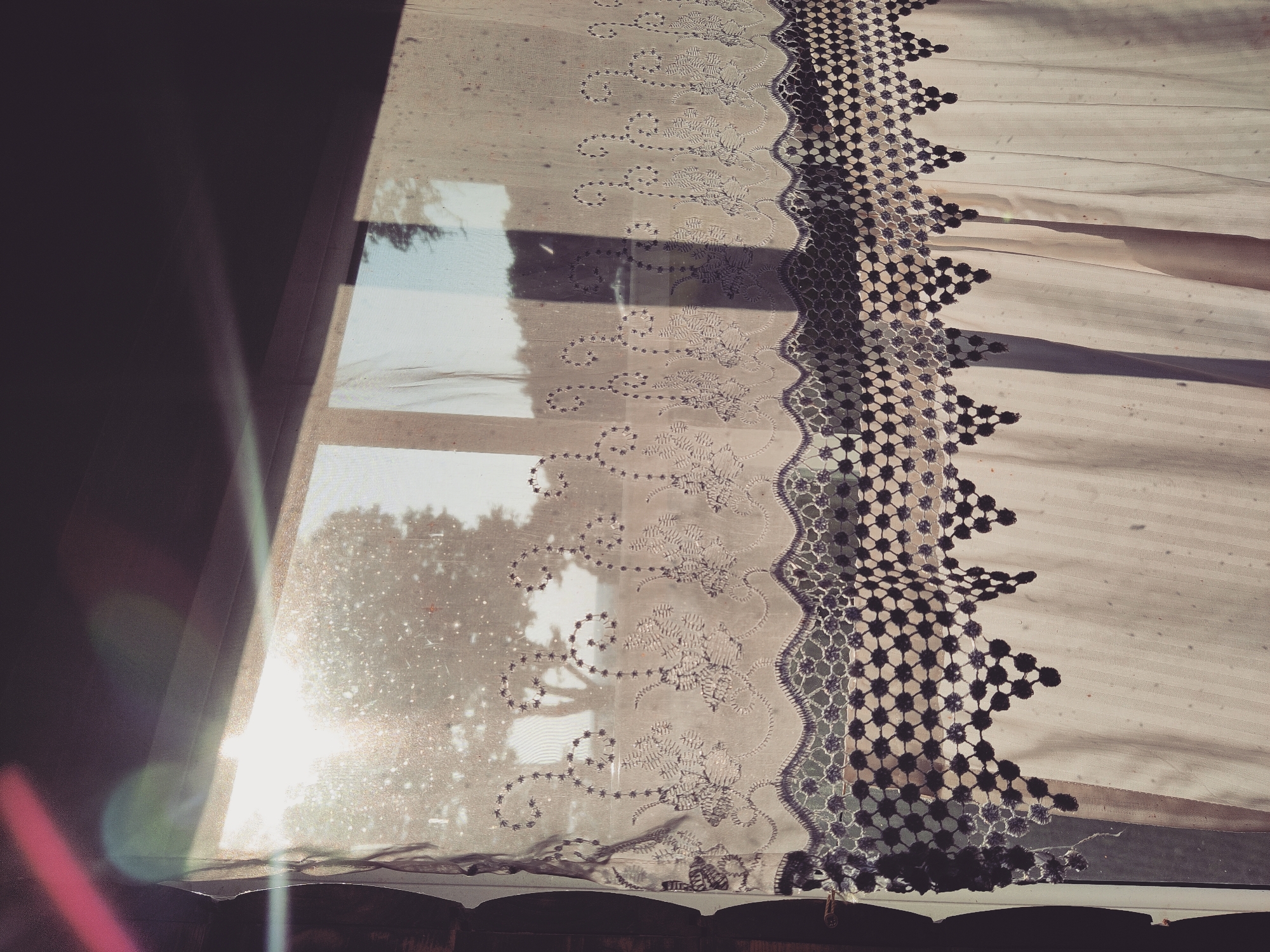 The image captures a close-up view of a white lace curtain hanging in front of a window, with the sun shining through, creating lens flares and highlighting dust particles in the air. The curtain features intricate floral embroidery and a decorative crocheted border with a geometric pattern. Through the translucent fabric, the silhouette of a large tree and a hint of foliage are visible outside. The lighting suggests it is either early morning or late afternoon. The scene is likely from a residential interior, possibly in Norviliškės, Lithuania, given the context provided. No people or actions are depicted.