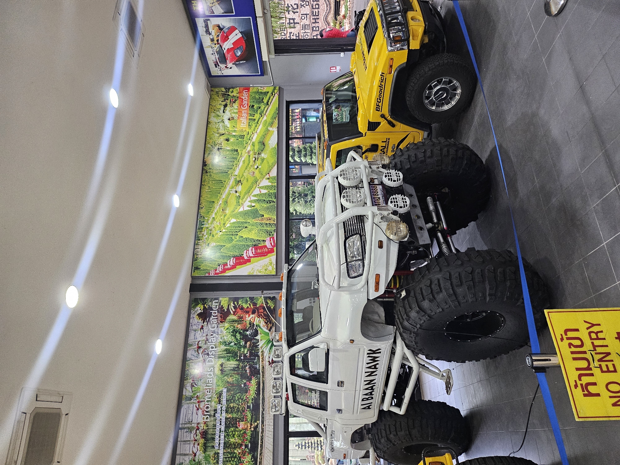 The image shows the interior of what appears to be an exhibit space, likely at Nong Nooch Tropical Garden in Na Chom Thian, Thailand. Dominating the foreground are two large, modified vehicles: a white monster truck on the left with extremely oversized tires and a yellow Hummer on the right, also with large tires. The white truck has "ALBAAN NAWK" written on its side and a license plate with Thai characters and the number "8888". The yellow Hummer has "BFGoodrich" branding and "ALL HUMMER" on its hood.
Behind the vehicles, a large mural depicts a lush, green Italian garden landscape with pathways and water features, labeled "Italian Garden". To the left of this mural is another mural of a "Bromeliads Display Garden" with hanging plants. Above the vehicles and murals, the ceiling features recessed lighting and an air conditioning unit.
A blue tape barrier is placed on the floor in front of the vehicles, and a yellow "NO ENTRY" sign with Thai text is visible in the lower left corner. The flooring appears to be dark grey tiled. In the background, through windows or open doorways, glimpses of more greenery and trees can be seen, suggesting an outdoor area connected to the exhibit. A person in a red shirt is partially visible in the background on the right, near a doorway. The overall scene suggests a display intended to showcase these vehicles within a themed exhibition.