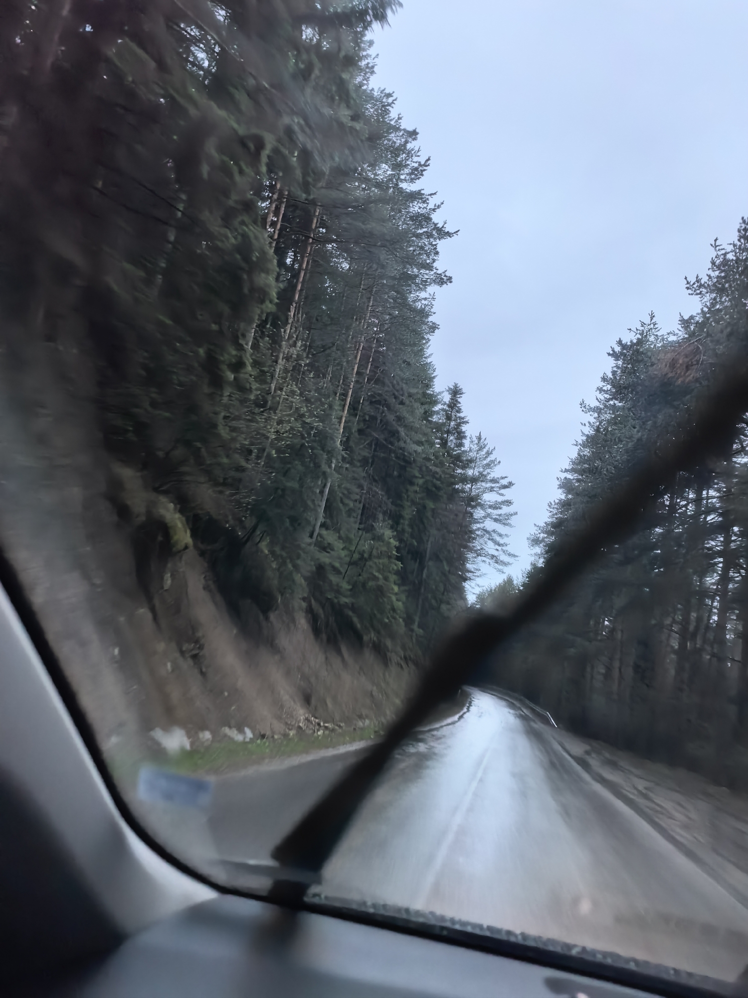 The image presents a first-person perspective from inside a vehicle, looking out through a wet windshield. A prominent windshield wiper blade crosses the lower-middle section of the frame. The scene depicts a narrow, wet road, likely asphalt, that appears to curve slightly to the right, cutting through a dense coniferous forest. Tall evergreen trees, possibly pine or fir, line both sides of the road, creating a towering natural corridor. On the left side, a steep, earthy bank, partially covered with sparse vegetation, rises alongside the road before meeting the dense tree line. The sky above is overcast and light grey-blue, indicating a gloomy or cloudy day. The wet road surface and streaks on the windshield suggest that it is raining or has recently rained. A light blue, rectangular sticker or label is partially visible on the lower-left corner of the windshield, but any text on it is illegible. The overall setting implies a journey through a secluded, forested area in damp weather conditions. No people are visible.