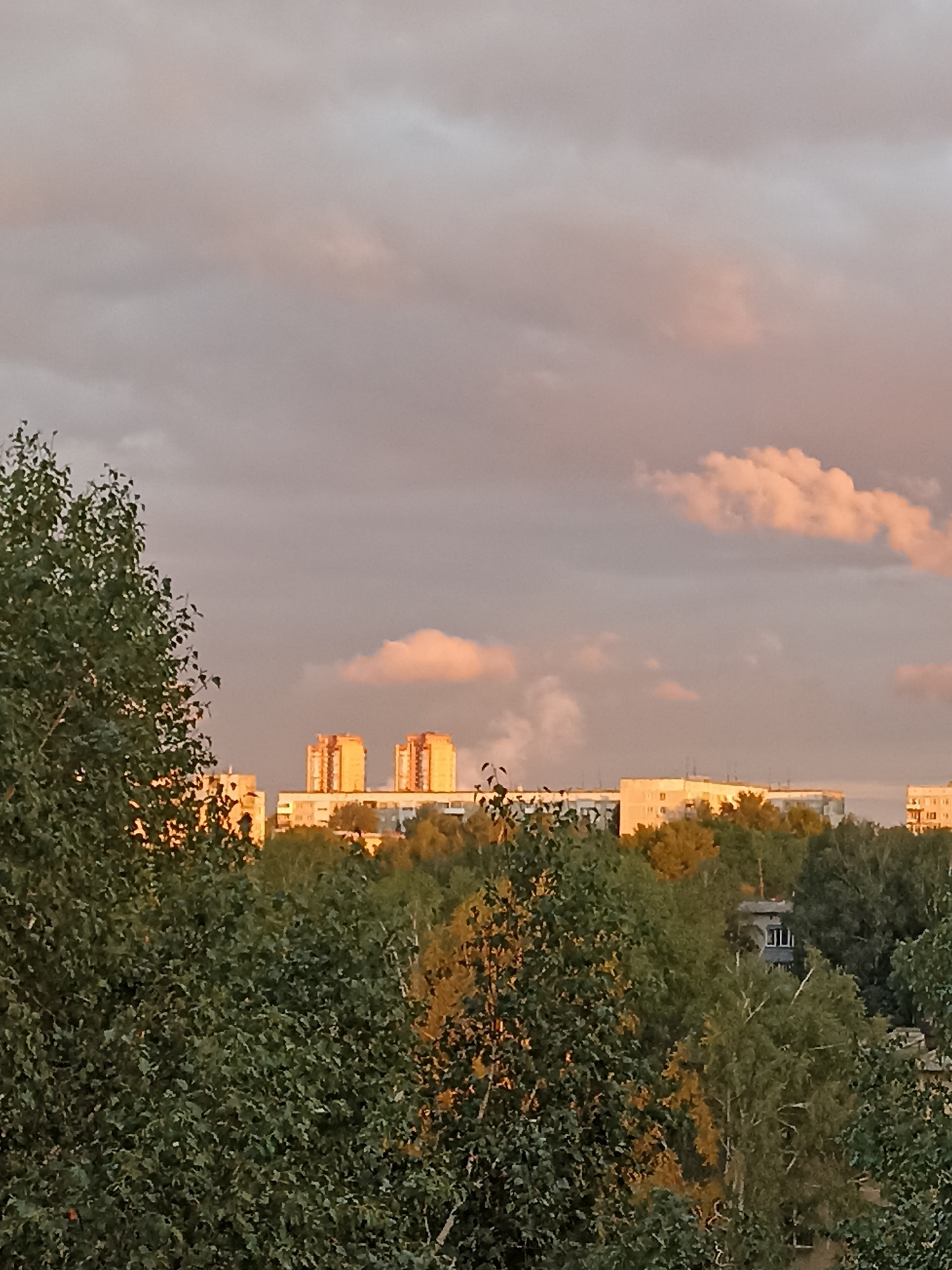 The image captures an urban skyline at dusk, with buildings silhouetted against a sky filled with dramatic clouds tinged with sunset hues. In the foreground, dense green foliage, likely trees, partially obscures the view of the city. Several multi-story apartment buildings are visible in the mid-ground, some illuminated by the warm glow of the setting sun. Two taller buildings, appearing to be apartment blocks with multiple floors and windows, stand out in the center of the frame, casting long shadows. The sky transitions from a soft grey to warm pink and orange tones, indicating the sun is low on the horizon. The scene suggests an evening in an urban environment, possibly a residential area, given the presence of apartment buildings and surrounding trees. The overall atmosphere is one of tranquility and the end of the day. This scene is consistent with urban landscapes found in Novosibirsk, Russia, especially in residential districts with a mix of older and newer apartment buildings surrounded by greenery.