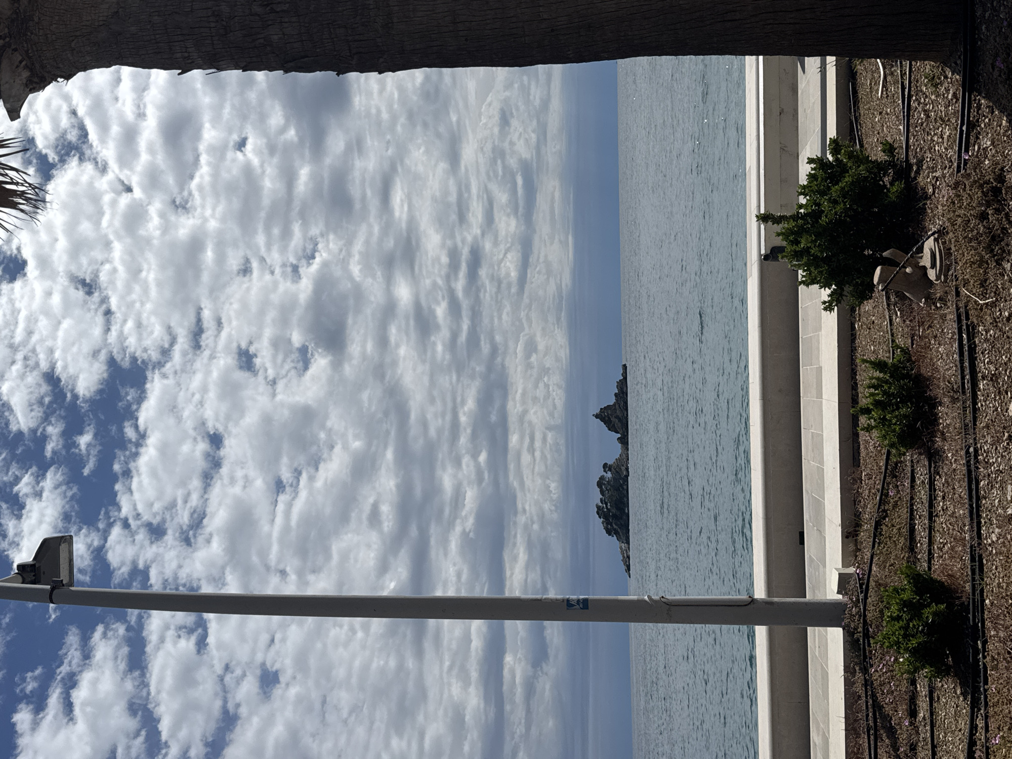 The image presents a view from Petrovac centar, Montenegro, oriented vertically. The upper portion of the frame is bordered by the trunk of a palm tree, under which a sky filled with white, textured clouds is visible on the left, transitioning to the Adriatic Sea on the right. The sea meets the promenade, constructed with concrete panels. Along the promenade, there are small patches of greenery or shrubs. A light pole extends horizontally across the lower part of the frame, adding a constructed element to the natural landscape. In the sea, there are two small rocky islets visible.