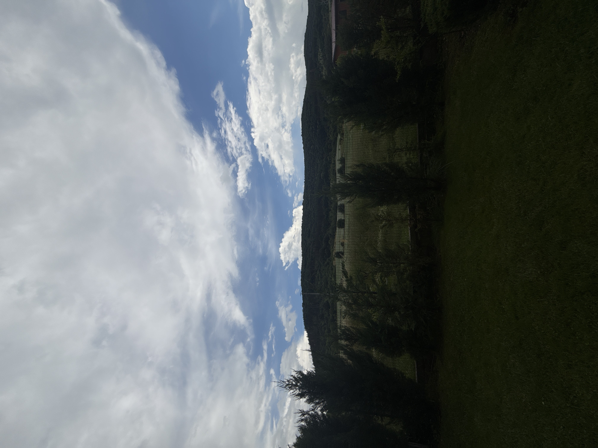 The image depicts a landscape scene with a foreground of dark green grass, followed by a line of dark green conifer trees casting shadows. Behind the trees, a fence separates the grassy area from a wide, open field with scattered trees and a building visible on the right. A dark green, densely forested hill forms the backdrop, and the sky above is filled with dramatic white and grey clouds against a bright blue sky. The overall impression is of a rural setting, likely on the outskirts of Sulitsa, Bulgaria, under a partly cloudy sky.