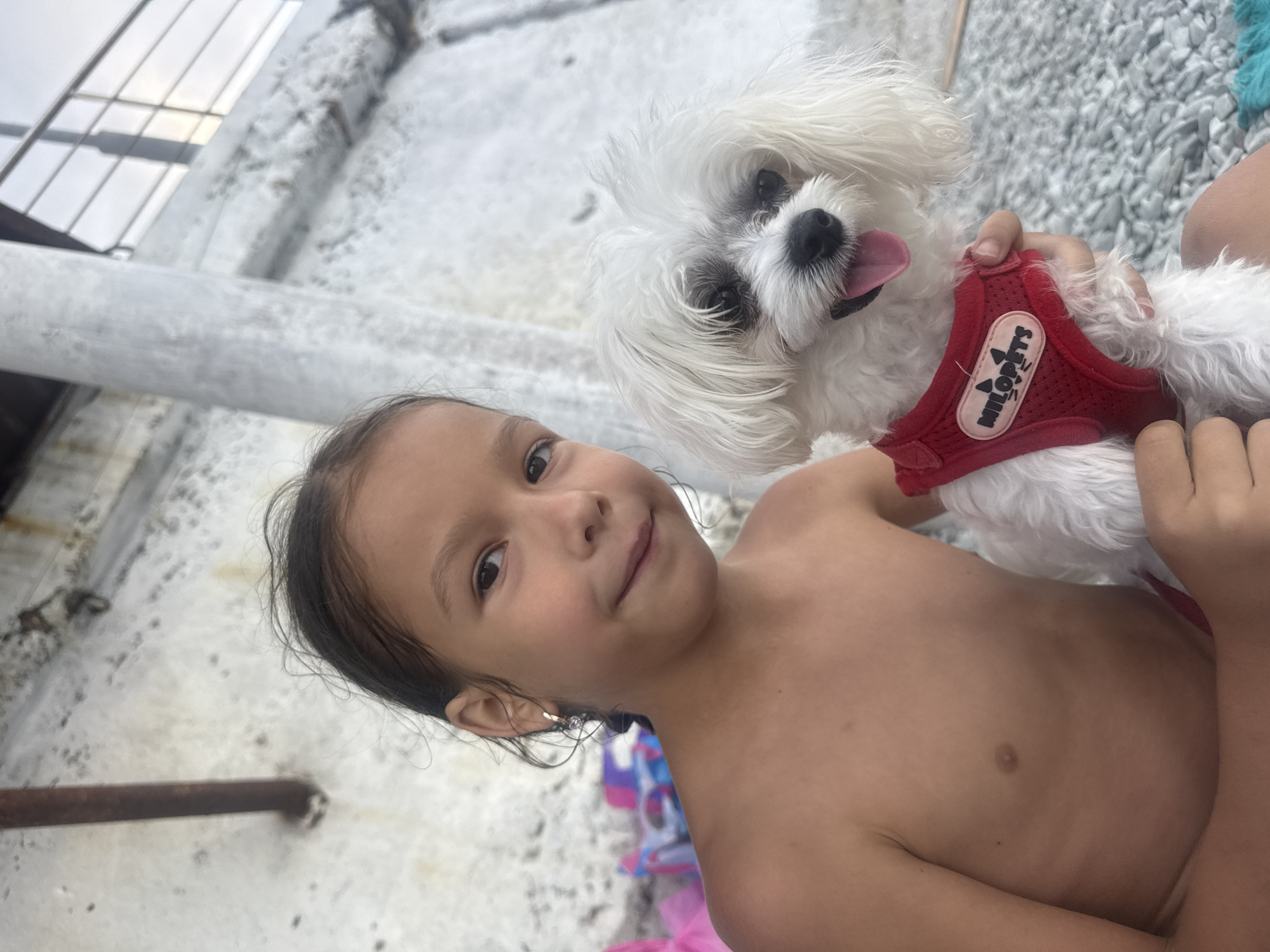 A young girl, shirtless and with wet hair, smiles at the camera while holding a small white dog. The dog is wearing a red harness with the word "MILOPETS" visible on a white patch. The girl is positioned in the foreground, with her face turned towards the viewer. The dog is held in her arms, looking upwards.
The setting appears to be outdoors, with a textured, light-colored surface in the background that could be sand or gravel. A metal pipe runs horizontally in the lower left quadrant of the image. In the upper left, a portion of what looks like a roof or structure with visible beams and glass is present. The overall lighting suggests it is daytime. The emotion conveyed is one of happiness and affection between the girl and her dog.
The visible text on the dog's harness reads "MILOPETS". The location is identified as Partenit, Ukraine.