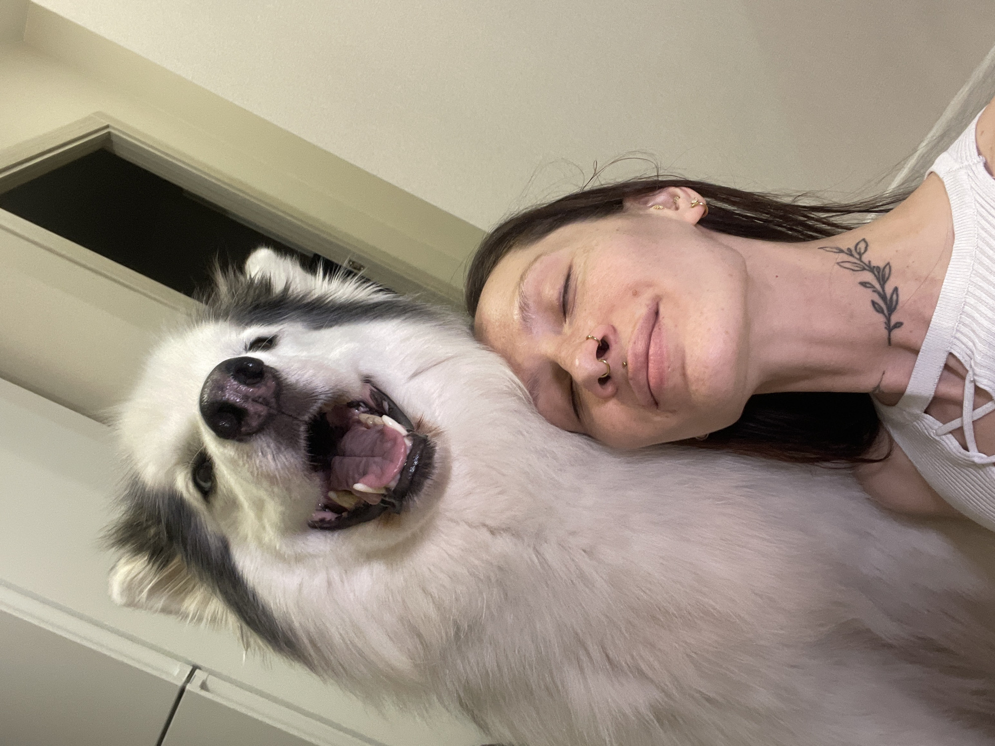 An intimate indoor portrait captures a woman and a large, fluffy dog in a close embrace. The image is taken from a low angle, looking up at the subjects, who are positioned diagonally across the frame.
The woman is on the right side of the image, resting her head against the dog's thick, white fur. Her eyes are closed, and she has a soft, relaxed expression, suggesting she might be dozing or simply enjoying the moment. She has dark hair, multiple piercings in her ears and nose (a septum ring and nostril rings), and a small, delicate tattoo of a leafy branch on the left side of her neck. She is wearing a light-colored, possibly white, ribbed top with a criss-cross detail at the neckline.
The dog, likely a Samoyed or a similar breed with a thick double coat, occupies the left and central portion of the image. Its fur is predominantly white, with patches of dark gray or black fur around its face and ears. The dog's mouth is wide open, revealing its pink tongue and teeth, and its eyes are looking slightly upwards, giving it a playful or joyful expression. Its nose is black and wet.
The overall setting appears to be a brightly lit indoor space, possibly a home, with plain, light-colored walls and ceiling visible in the background. The lighting is warm, suggesting artificial light. There are no specific location cues within the image to indicate Izhevsk, Russia, but this is the provided context. The focus is entirely on the tender interaction between the woman and her canine companion, highlighting a moment of peace and affection. No visible text is present in the image.