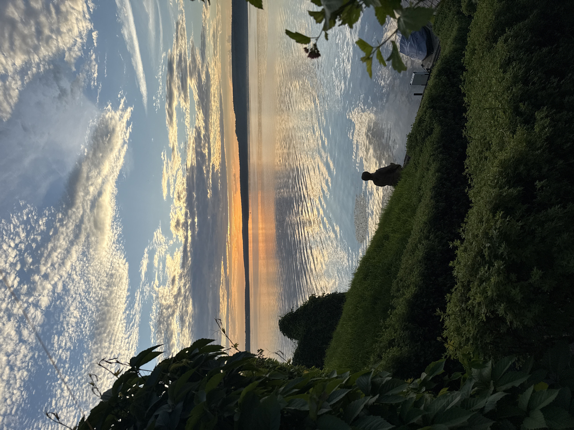 This is a photograph of a serene sunset over a large body of water, likely a lake or a river. The sky is a canvas of soft orange and yellow hues near the horizon, transitioning to blue with scattered, textured clouds. The water reflects the colors of the sky, creating shimmering patterns.
In the foreground, a green, sloped embankment is covered with lush grass and dense bushes, with ivy cascading down from the left side of the frame. On the embankment, near the water's edge, a solitary figure is seated, facing the water. The figure appears to be human, silhouetted against the bright sky and water. To the right of the figure, a dock is visible, with a boat covered by a blue tarp.
The image evokes a sense of tranquility and contemplation. The location in Votkinsk, Russia, is significant as Votkinsk is known for its beautiful natural landscapes, including Lake Votkinskoye, a reservoir on the Kama River. This scene could very well be a view from the shore of Lake Votkinskoye during a peaceful sunset.